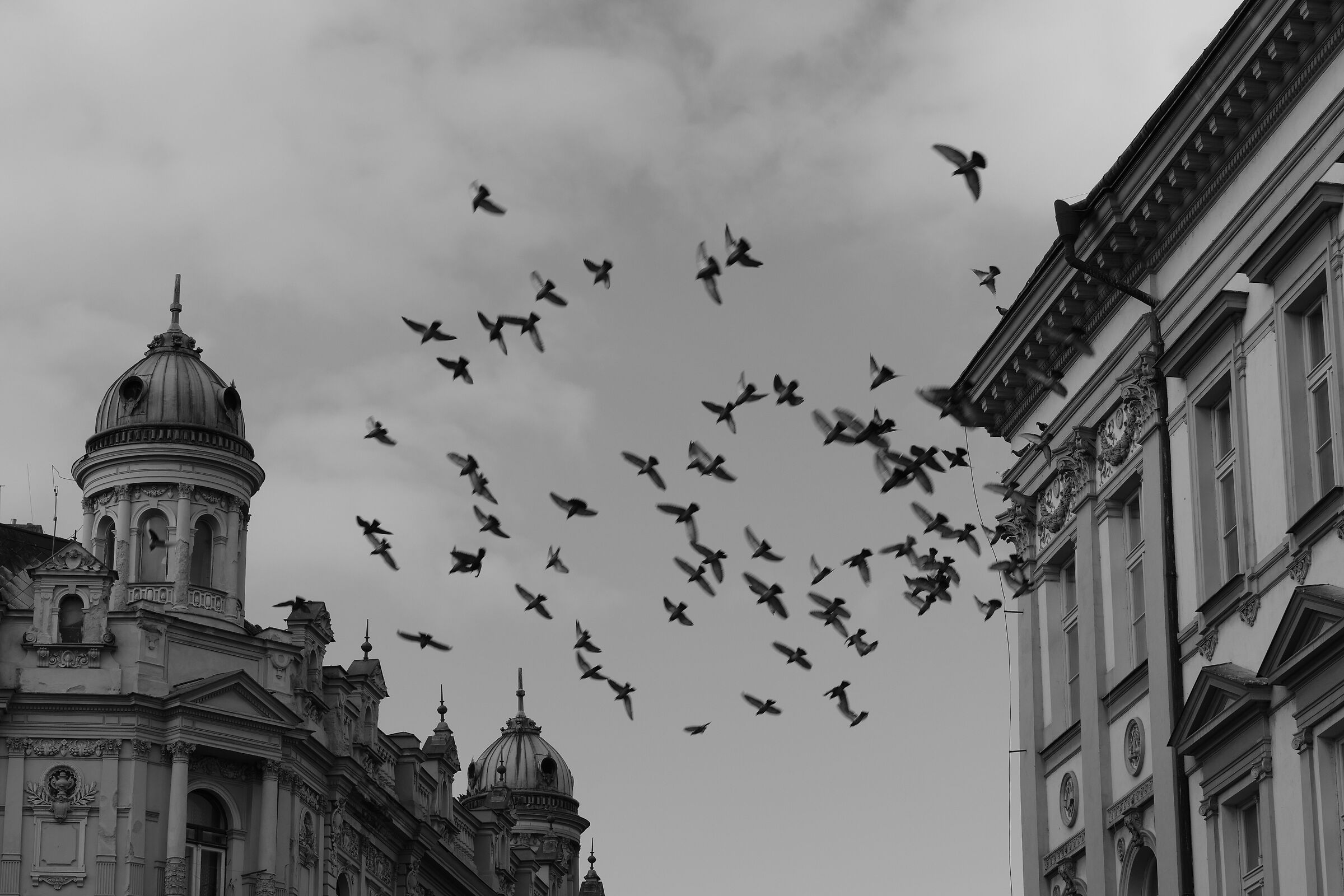 Il volo... (Praga 2025)