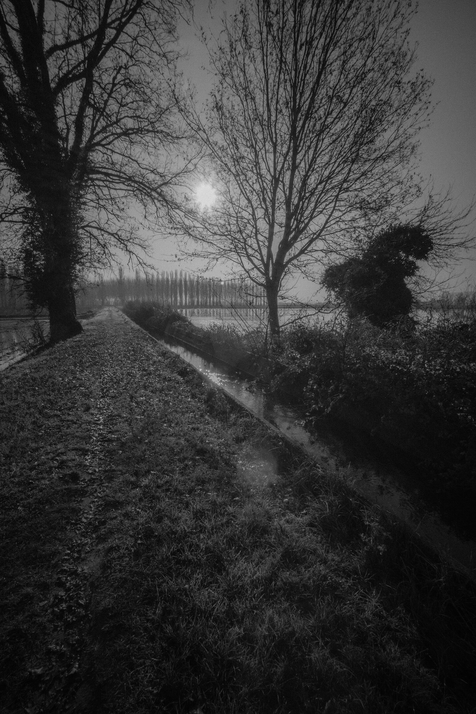 Mattina d'inverno in campagna