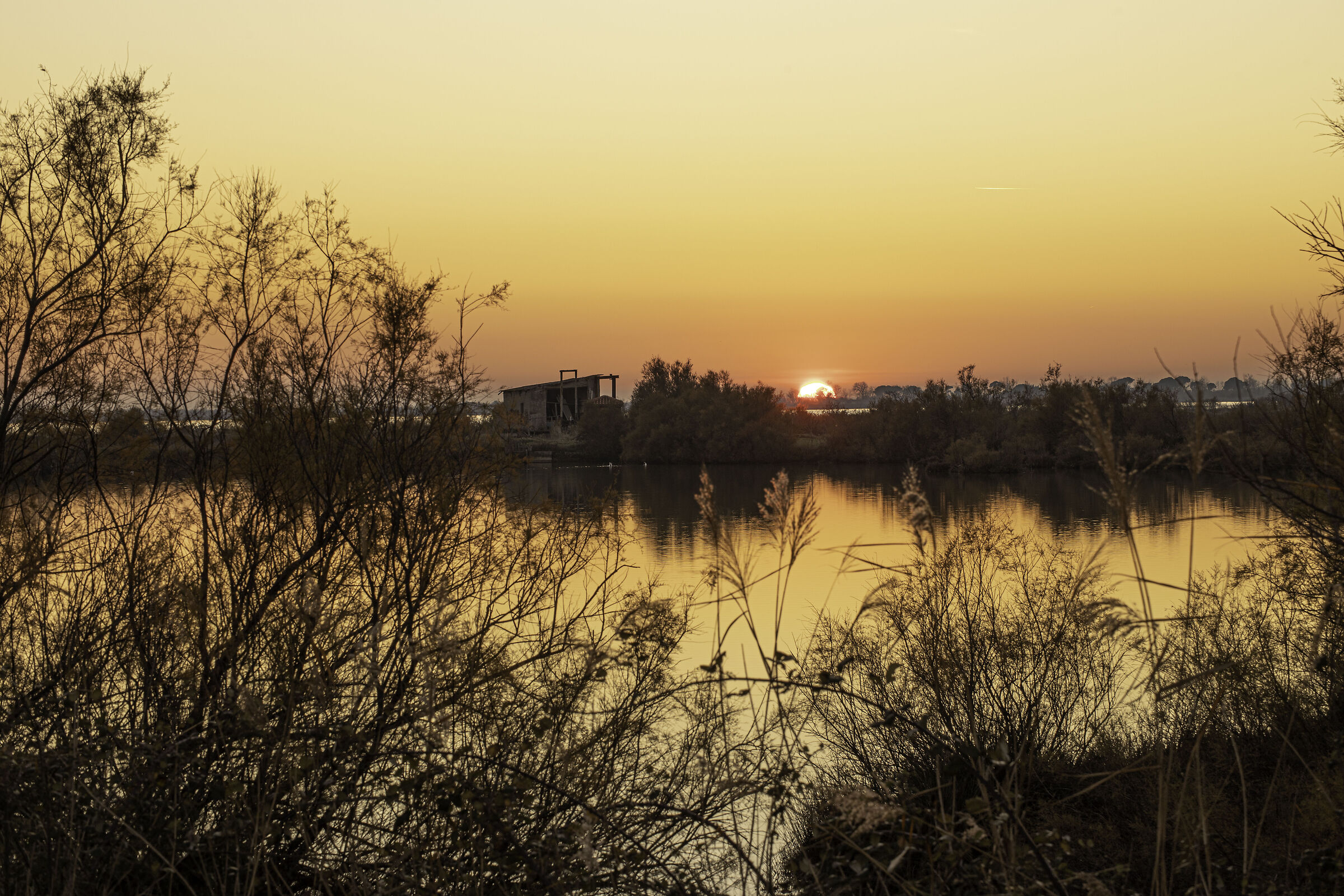 Sunset in the Scanarello Valley