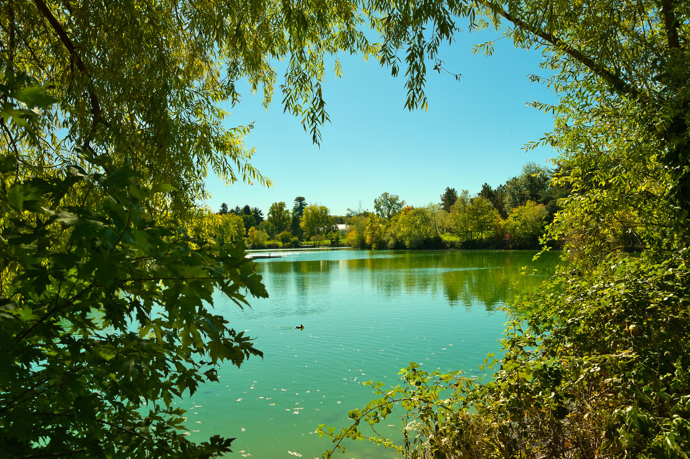 Uno scorcio sul Lago...