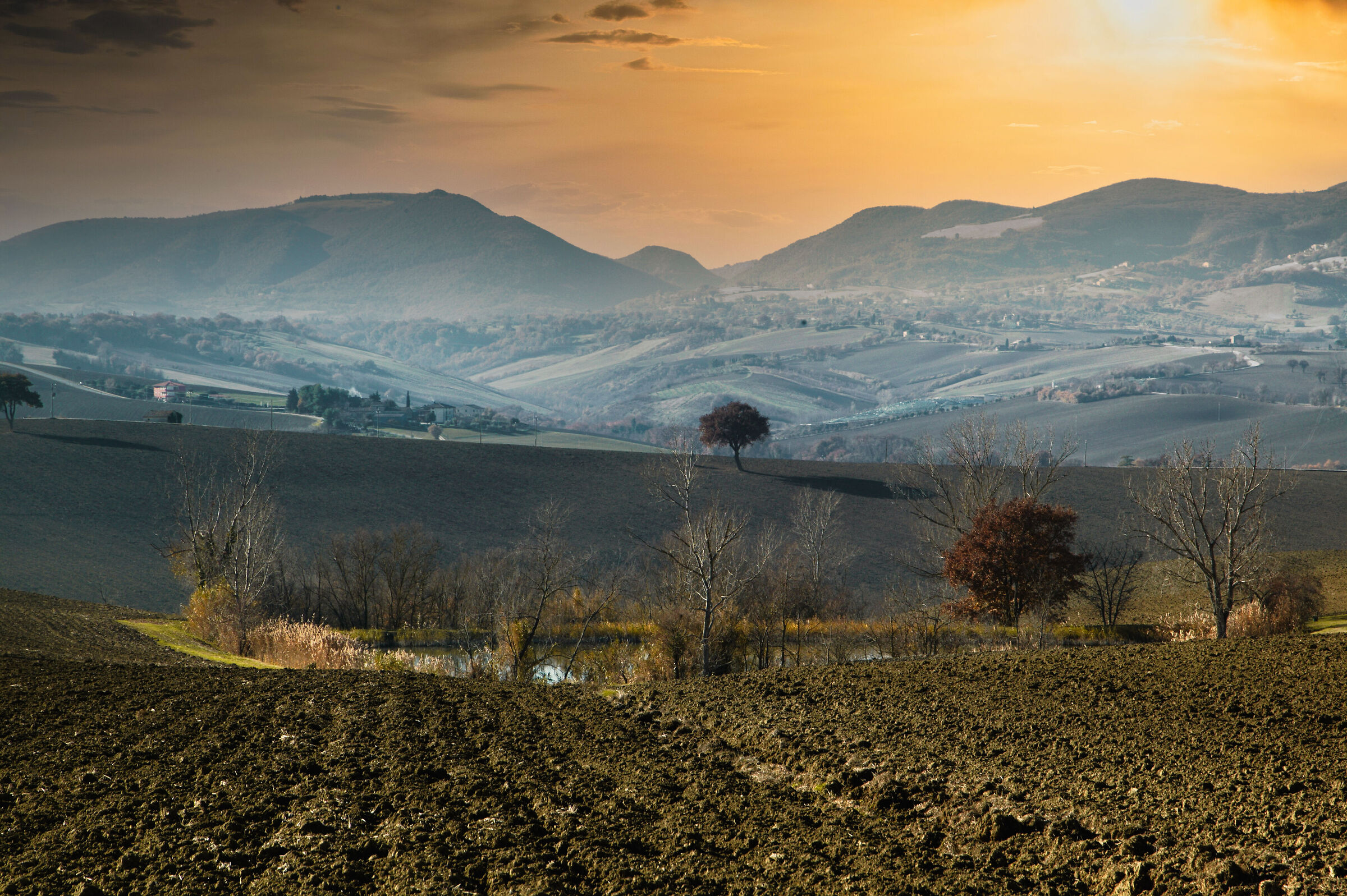 Campagna di casa mia 1
