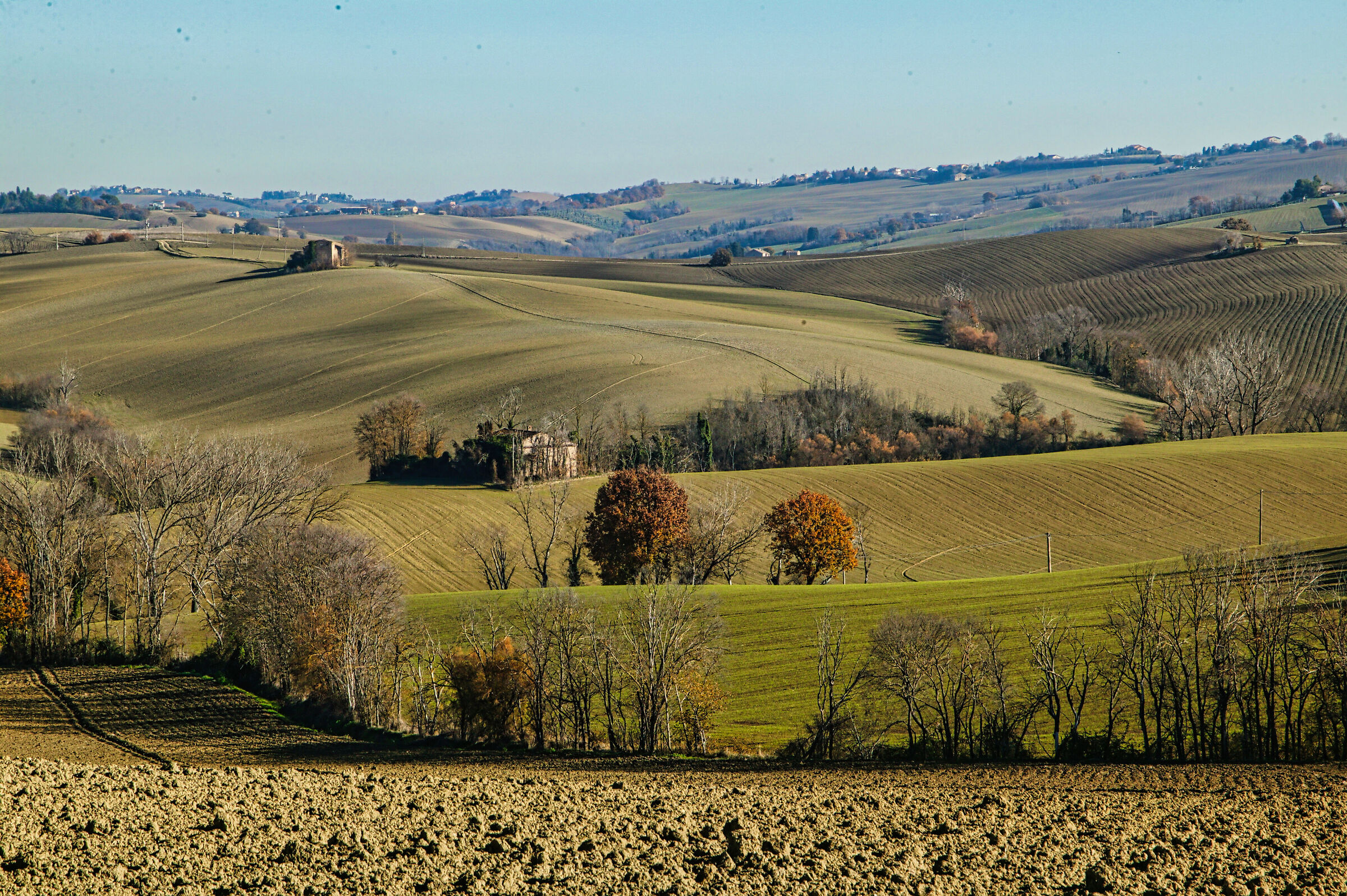 Campagna di casa mia 2