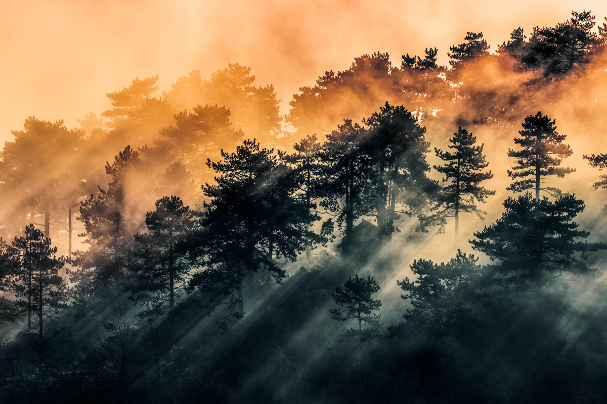One morning