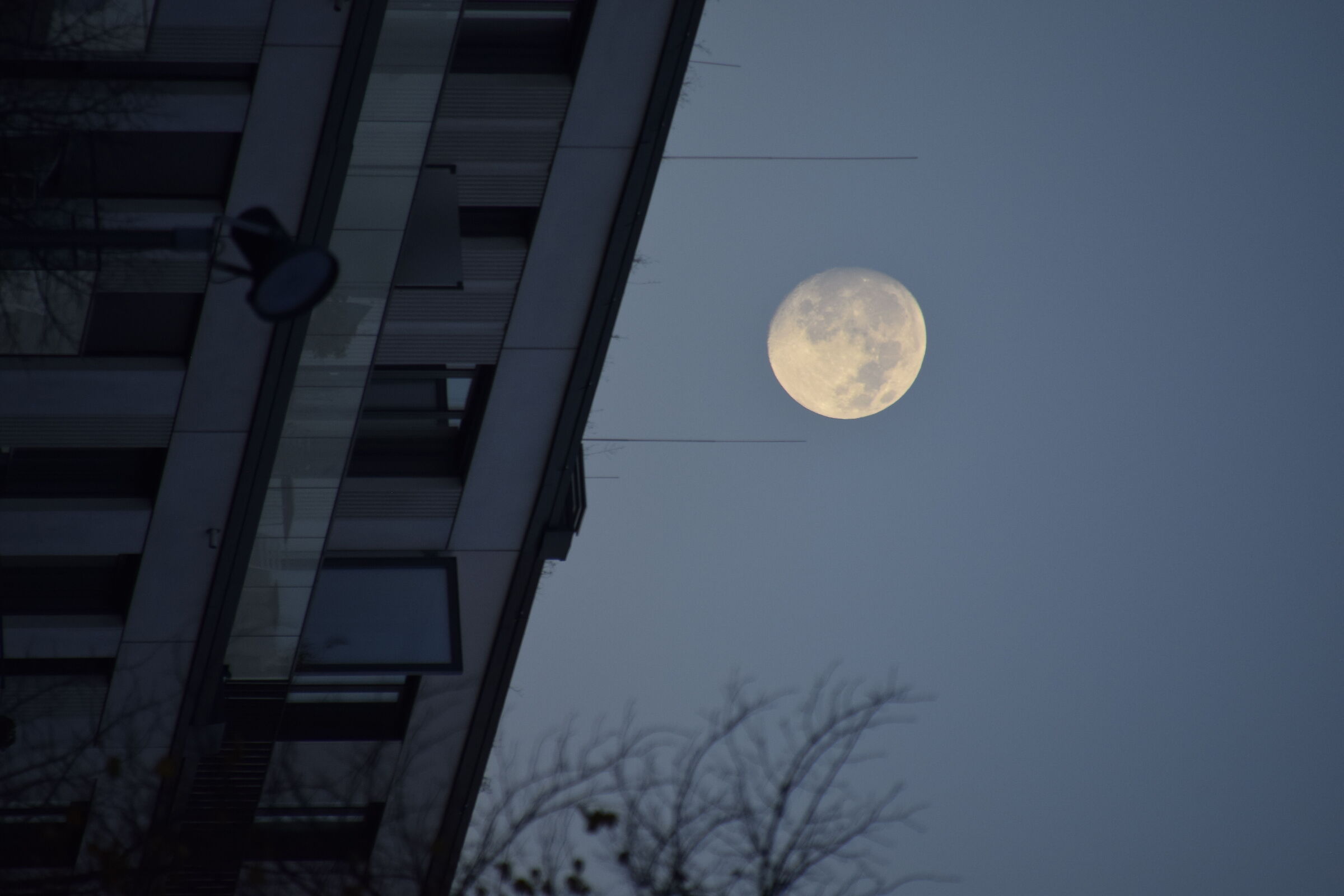 Moon