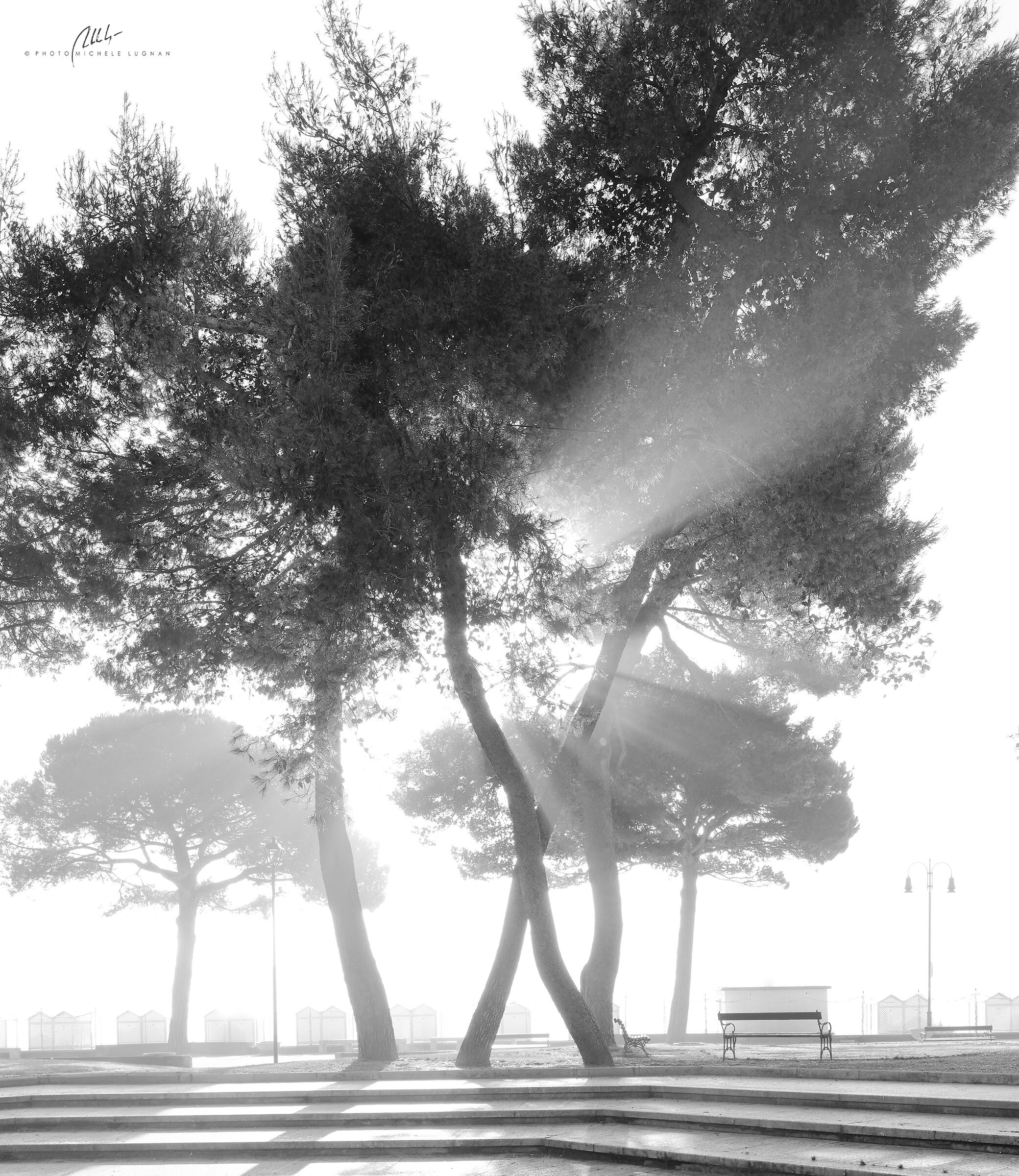 The fog that comes from the sea