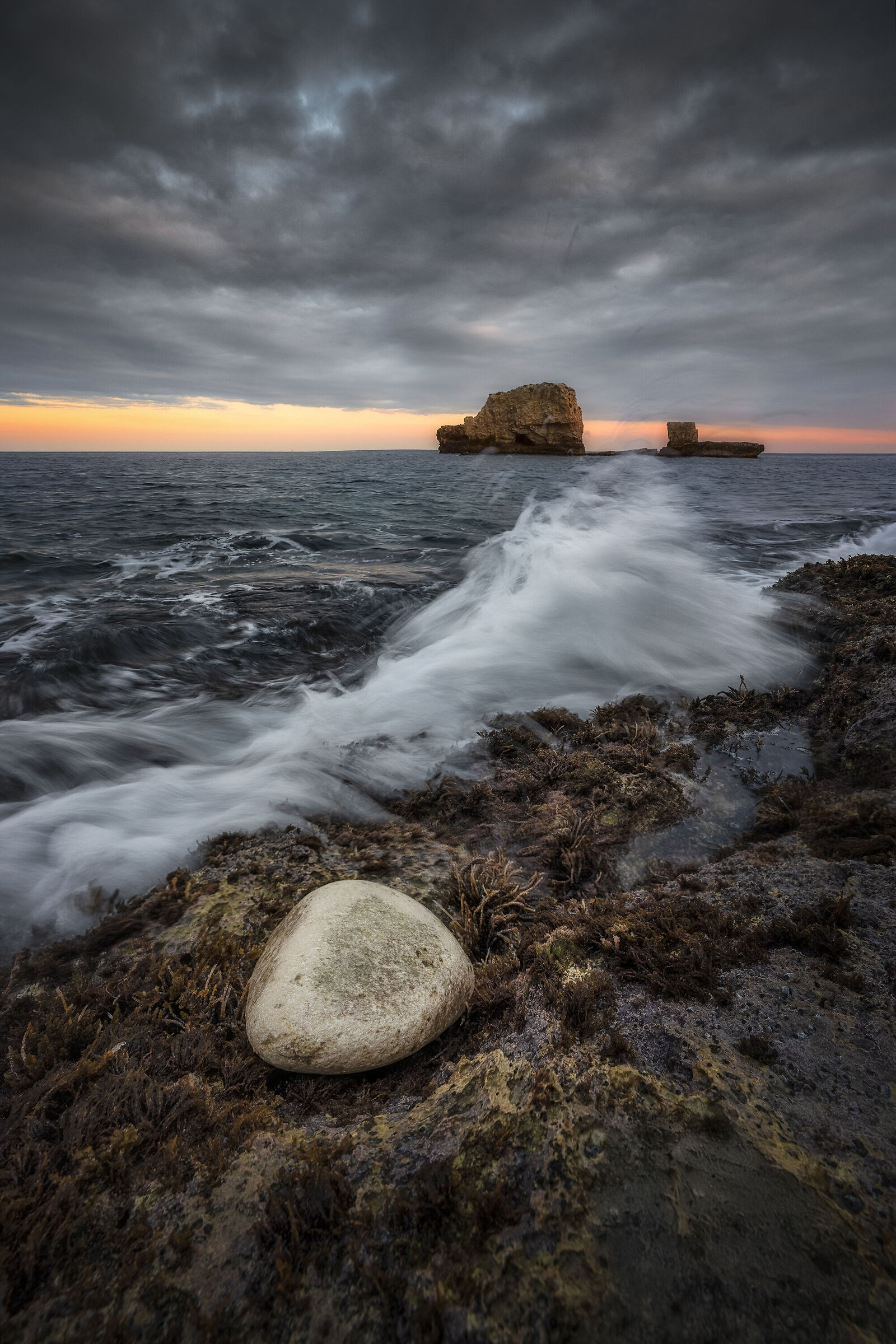 Scoglio two brothers