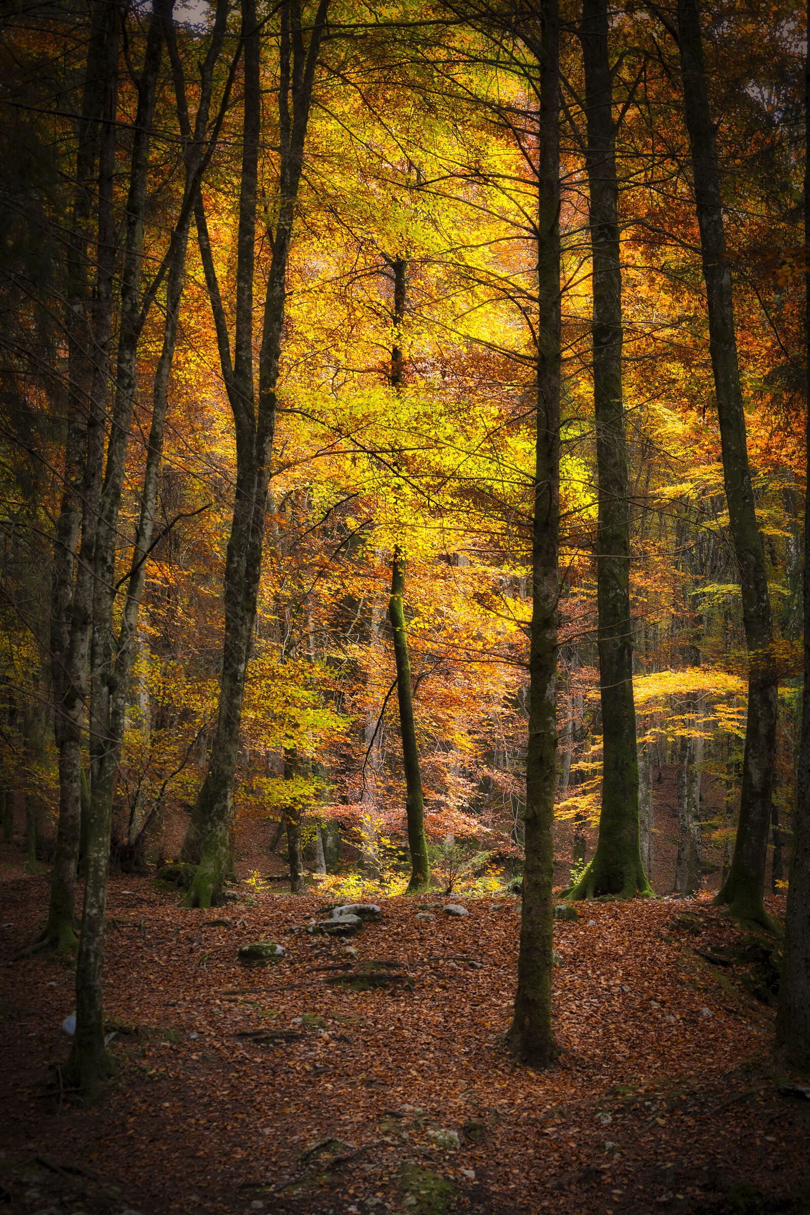 A fiery glow