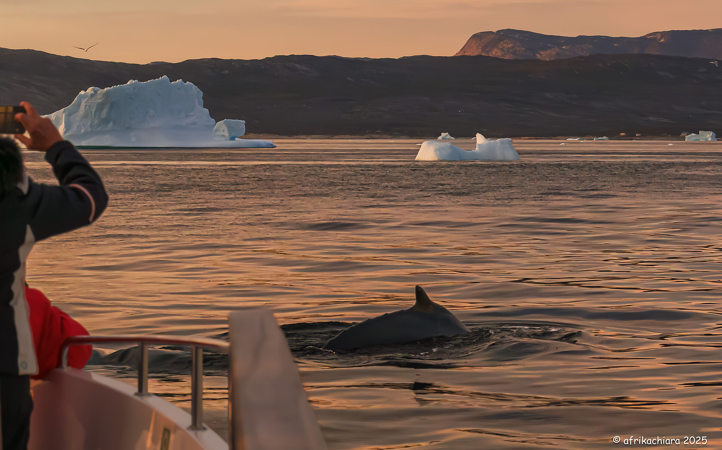 Grazed by a humpback whale