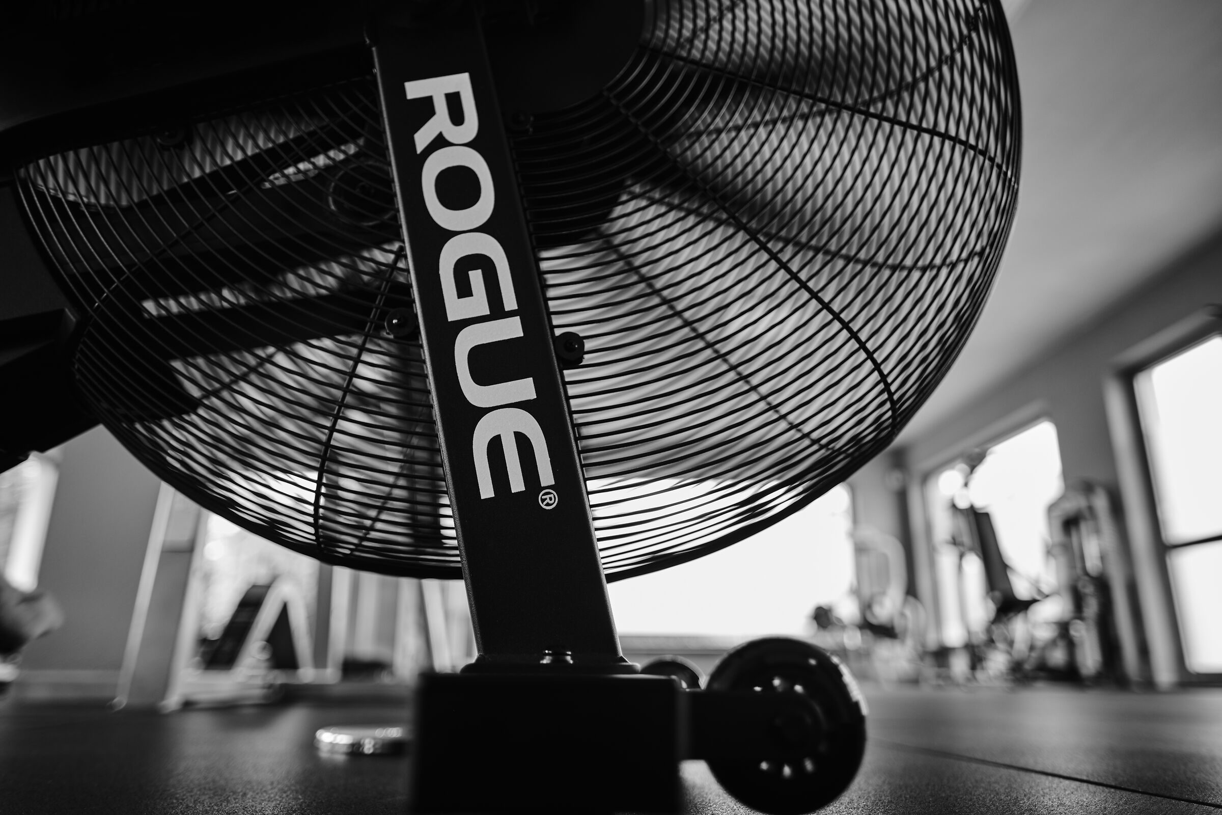 Rouge in black and white