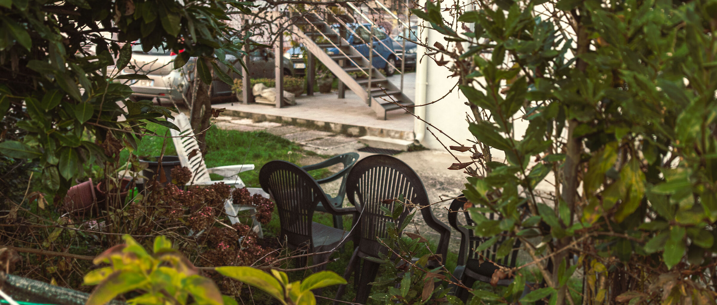 debì tirar màs fotos