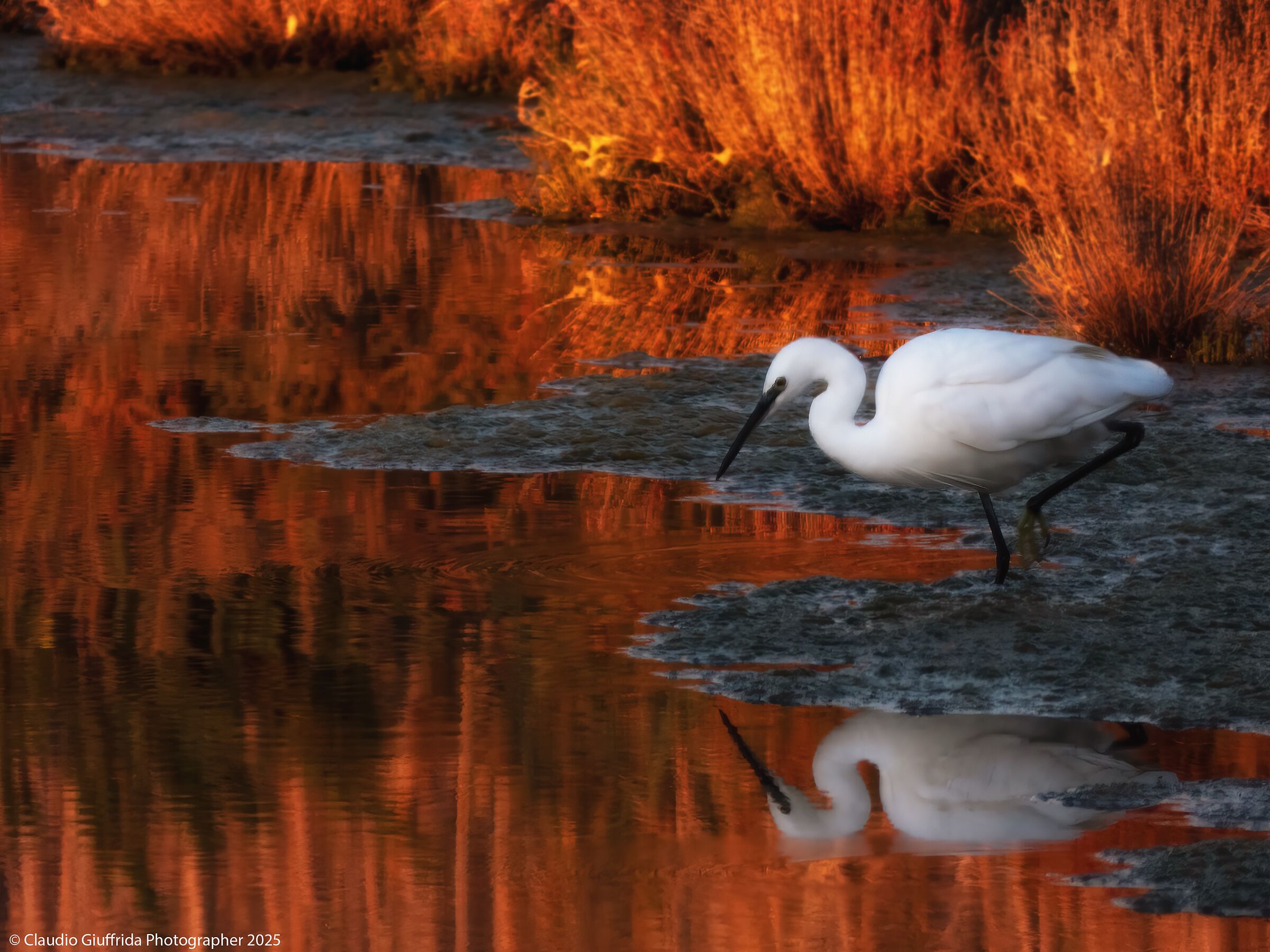 Alle ultime luci del giorno.