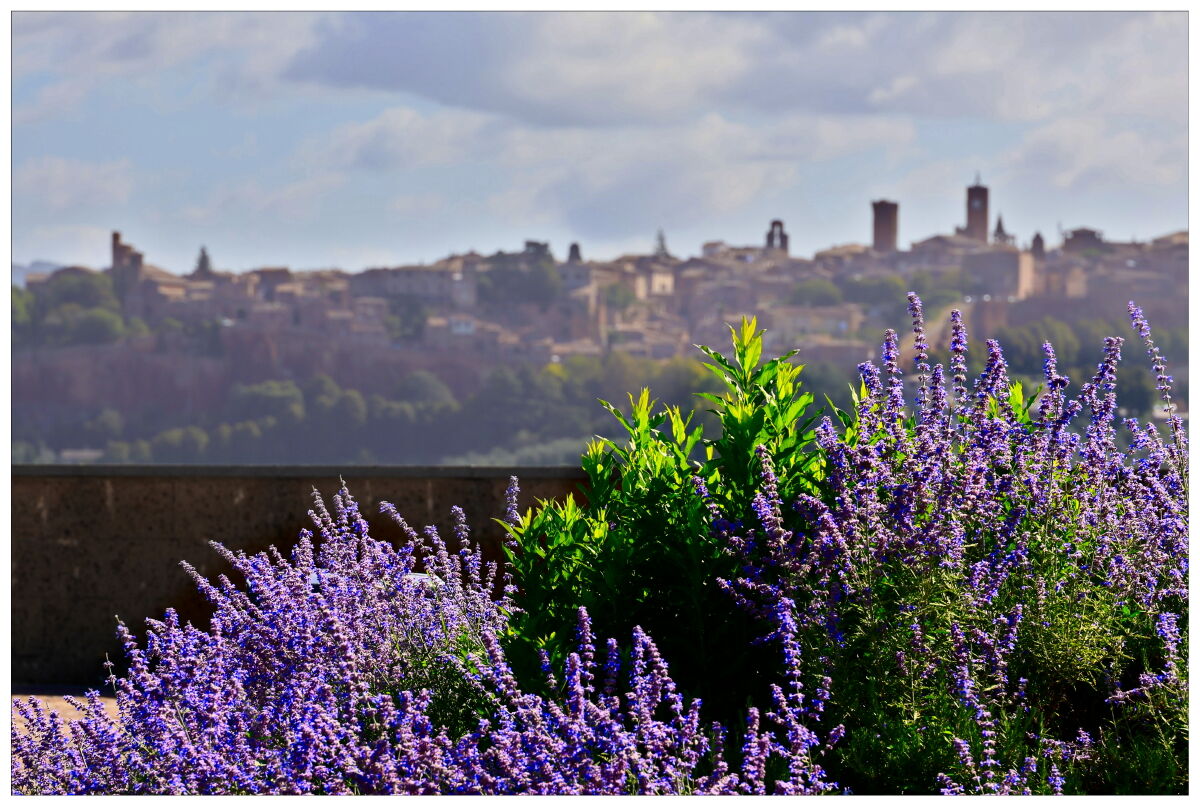 Orvieto 2025