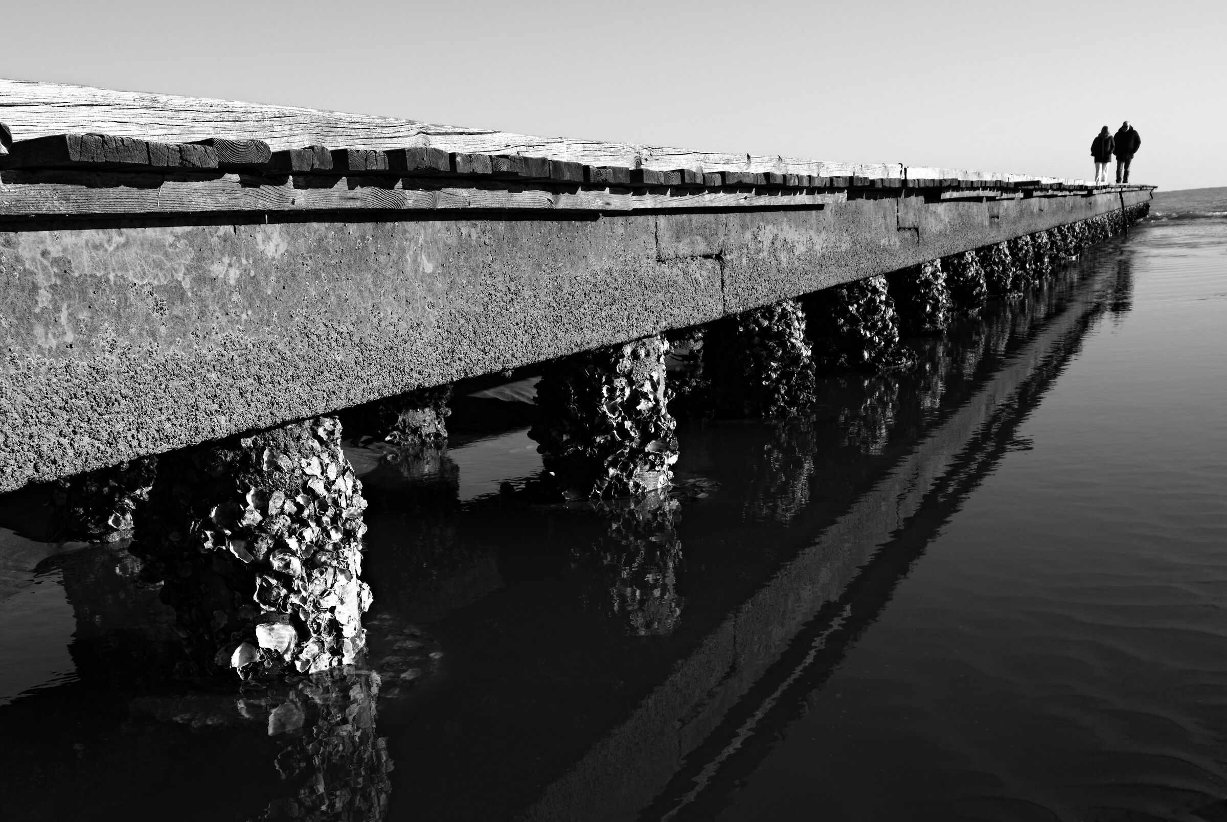 Untitled Photo