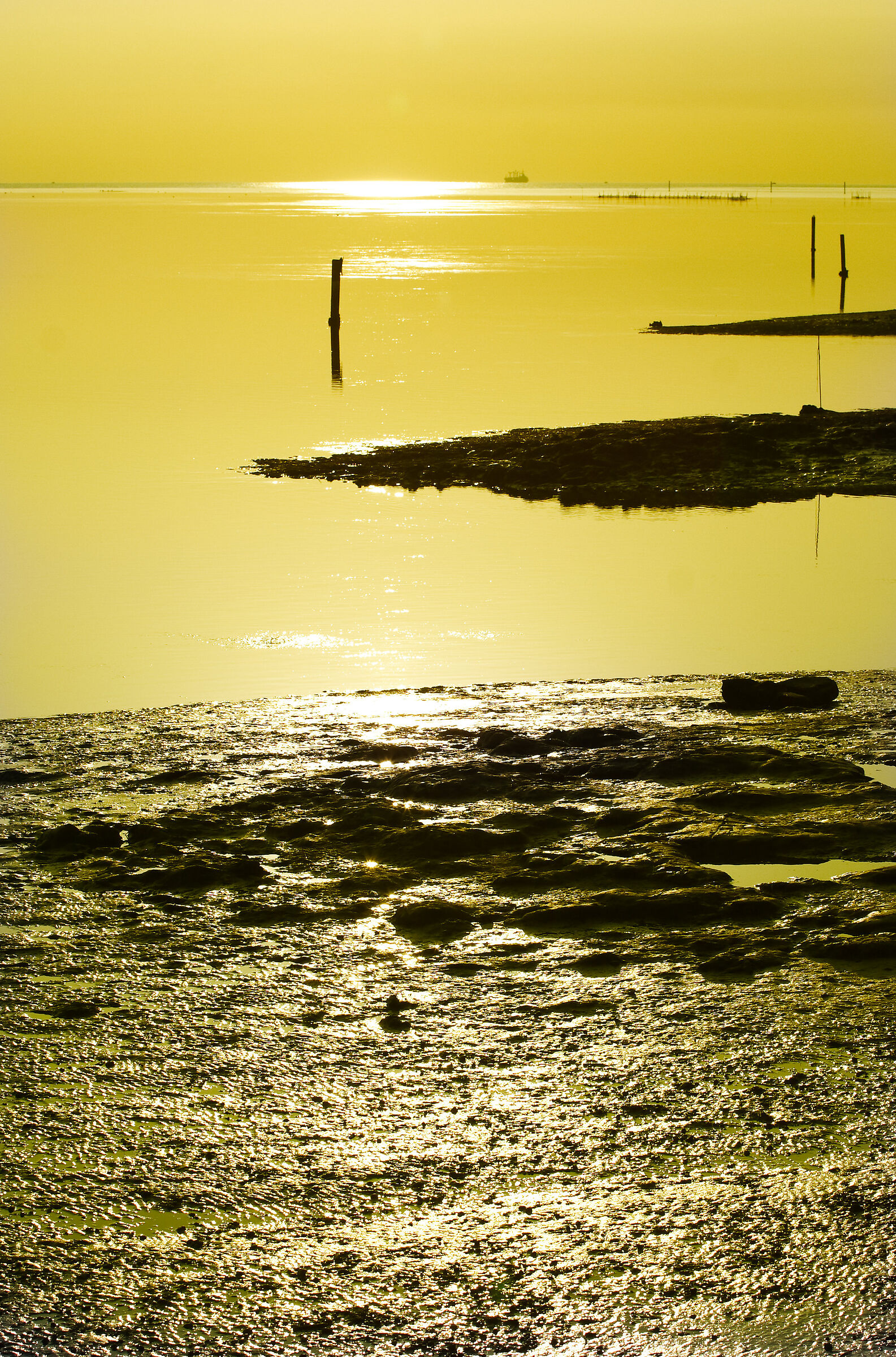 Grado - city of the sun