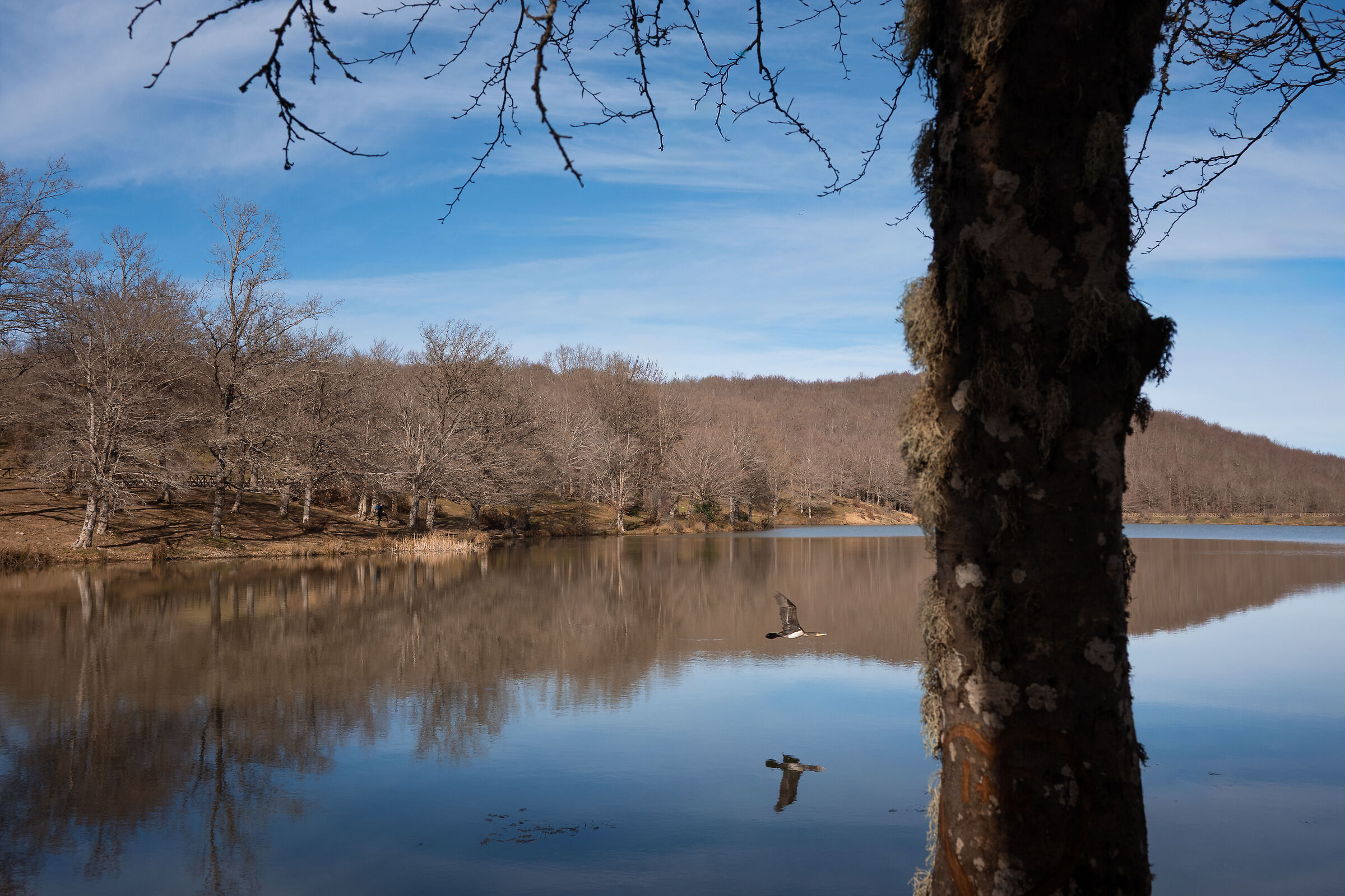 Untitled Photo