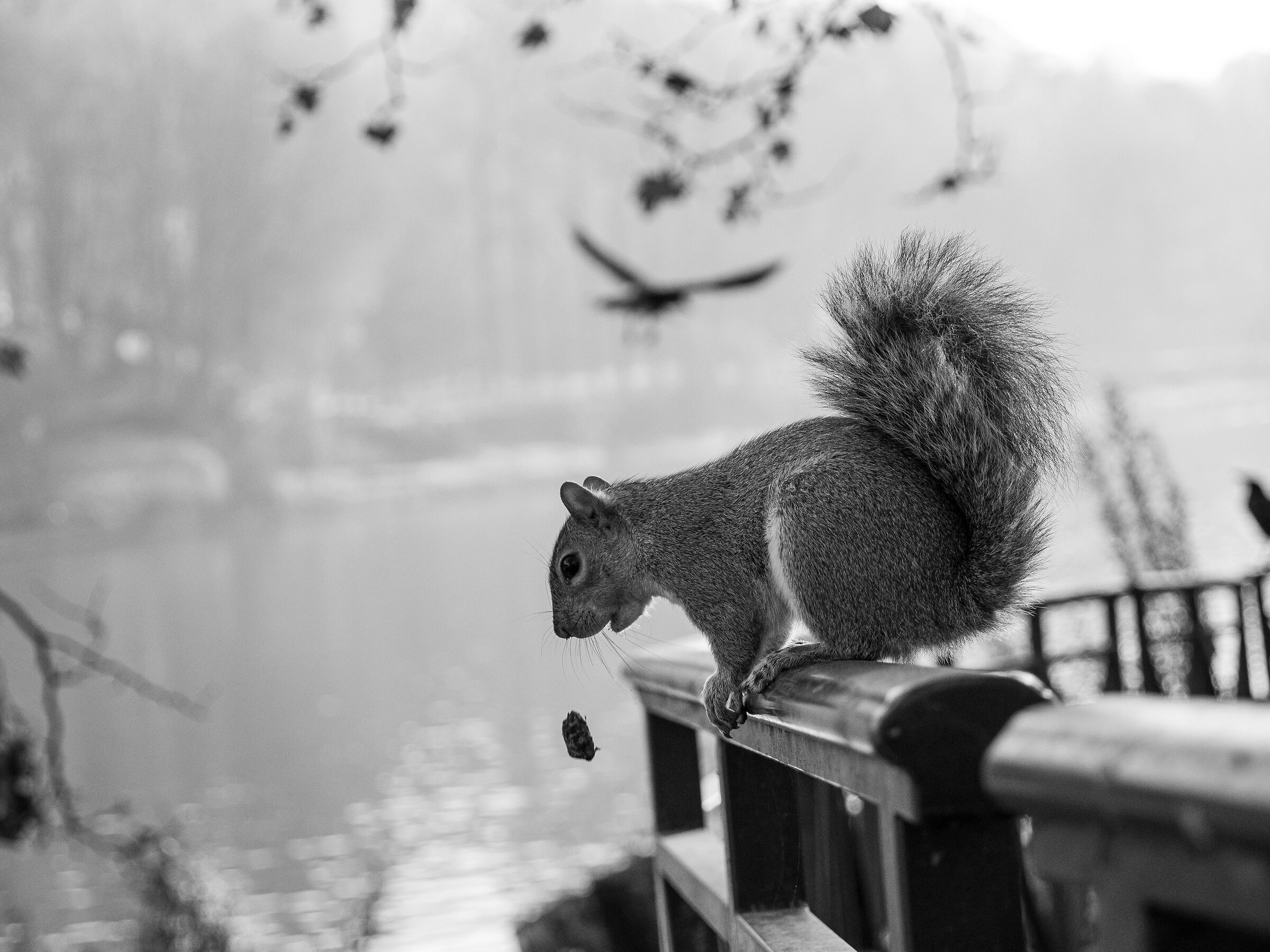 Ops! La colazione se ne va