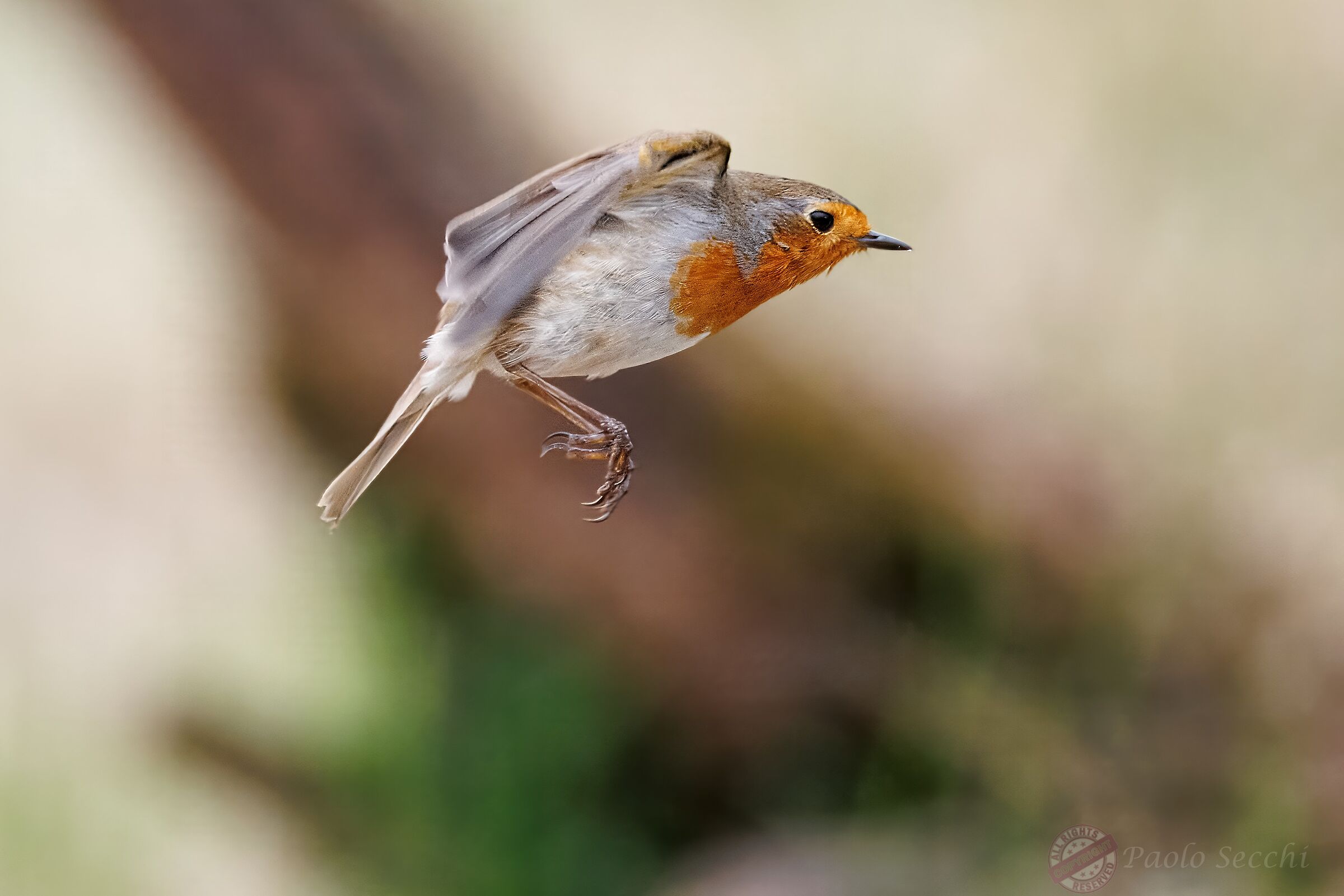 Jump