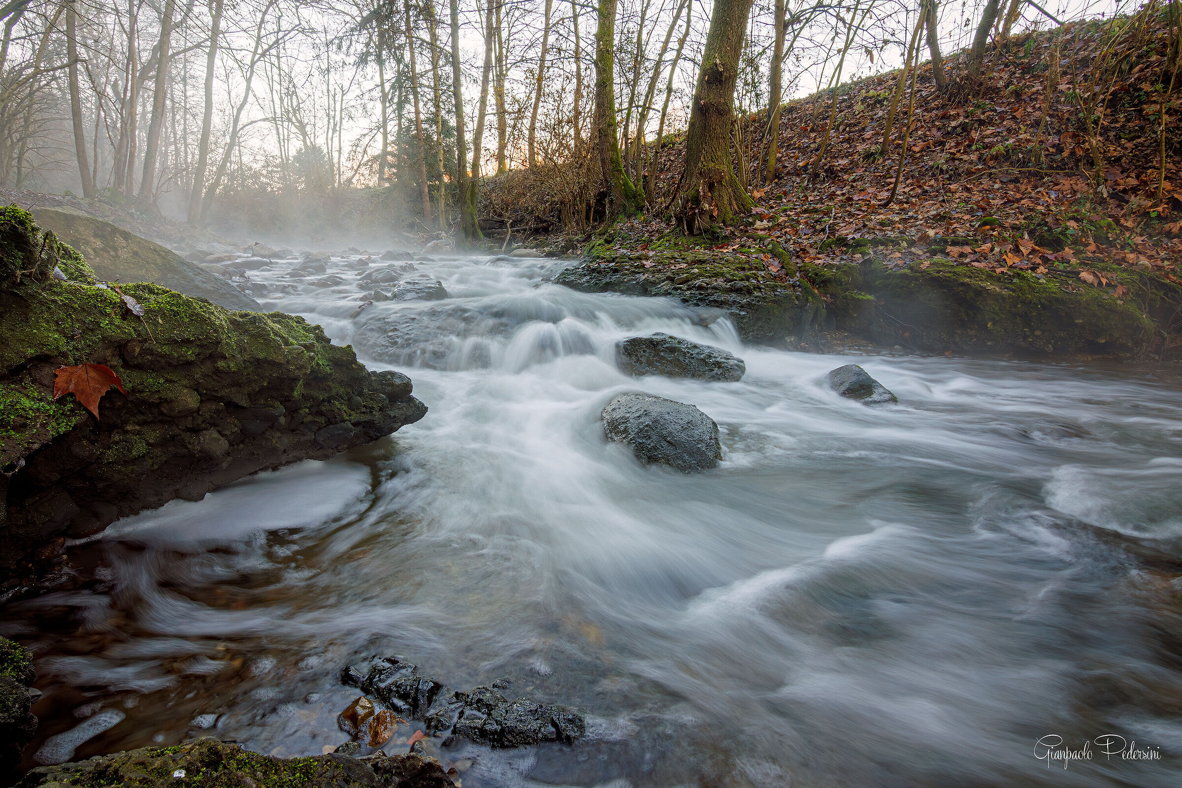La natura tra le case (3)