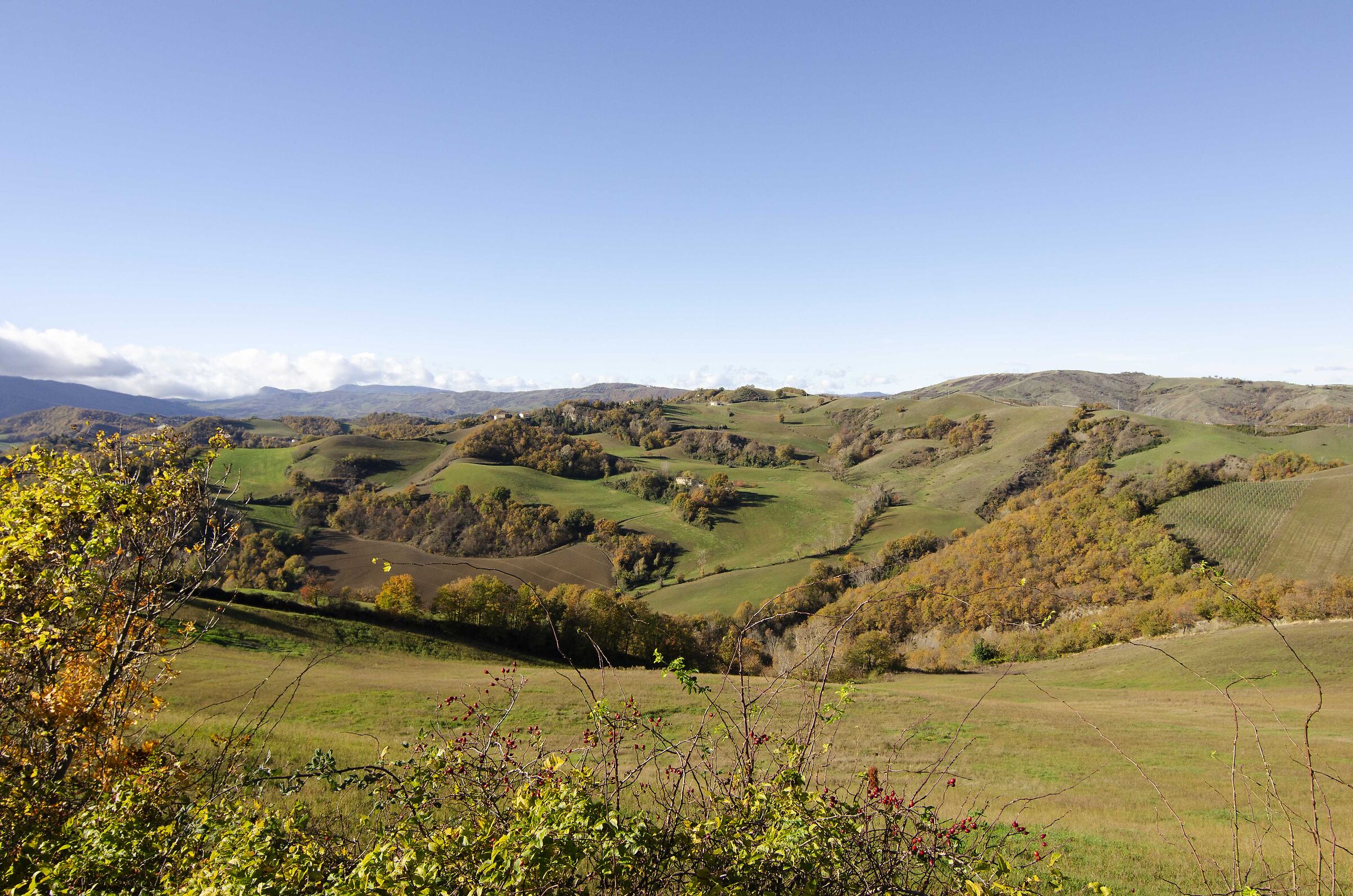 Autumn in Romagna