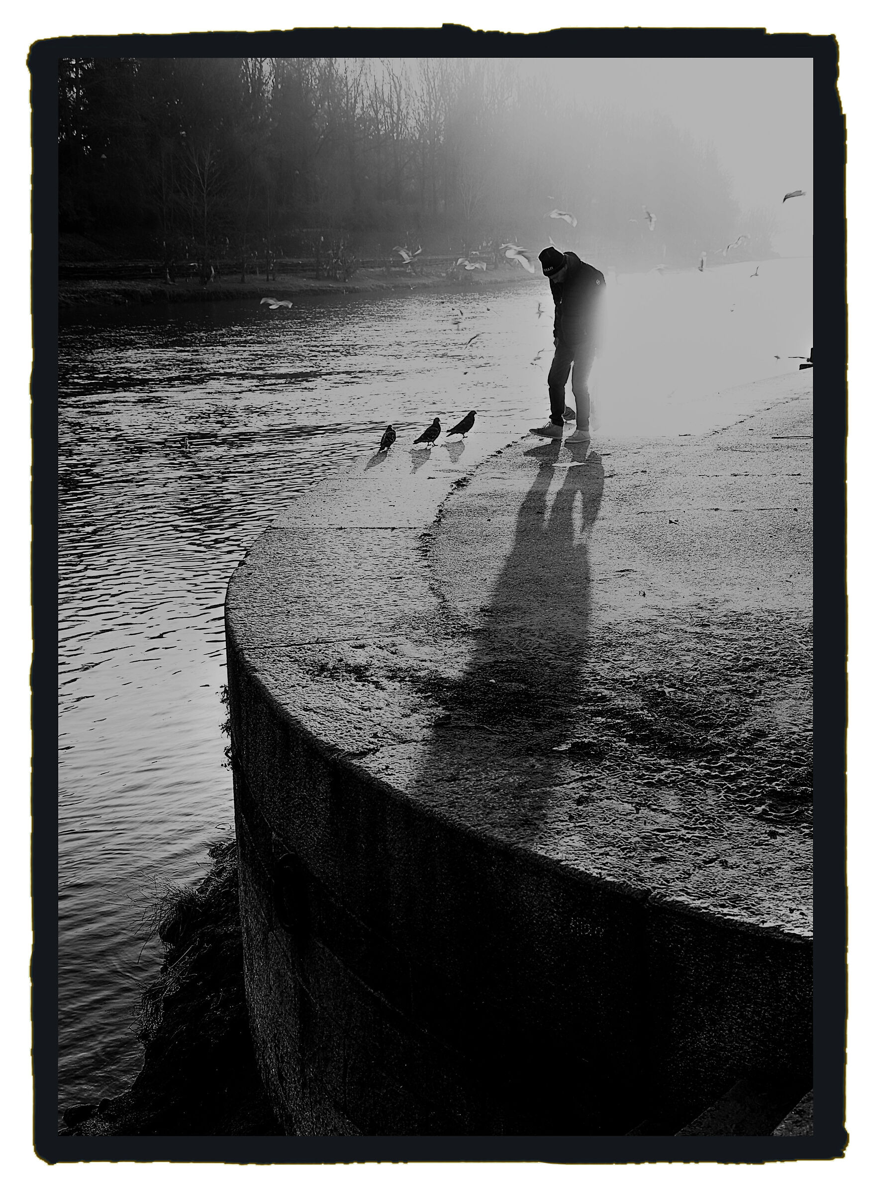 Vampiro al primo sole