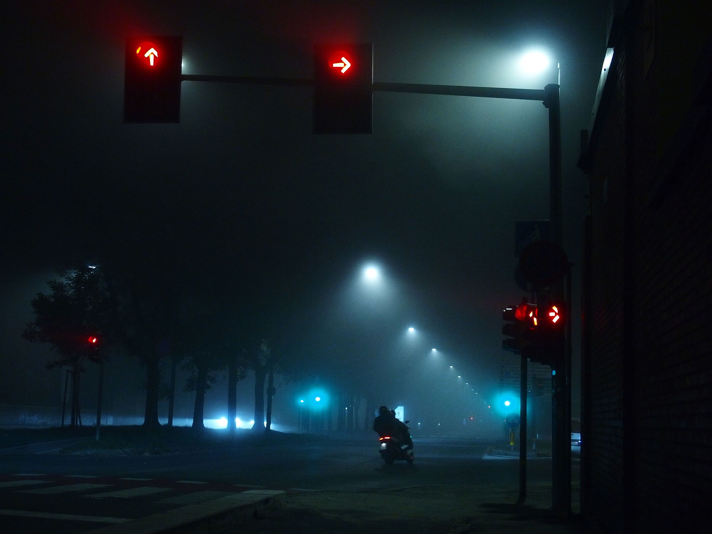 Avenues of Bologna in the fog