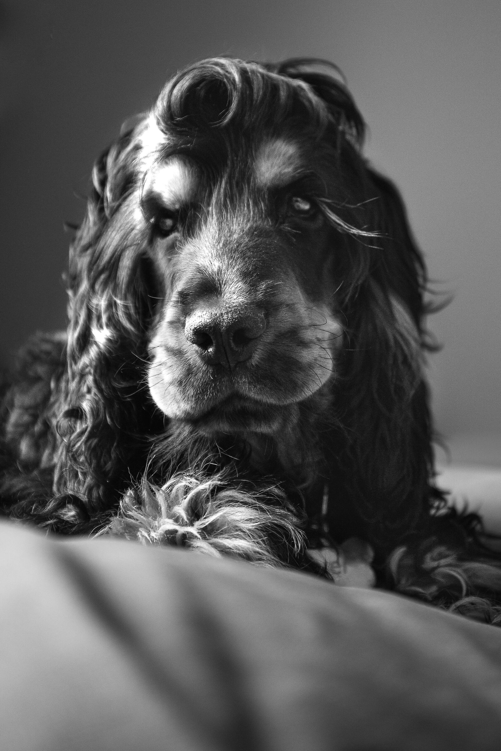 Oliver