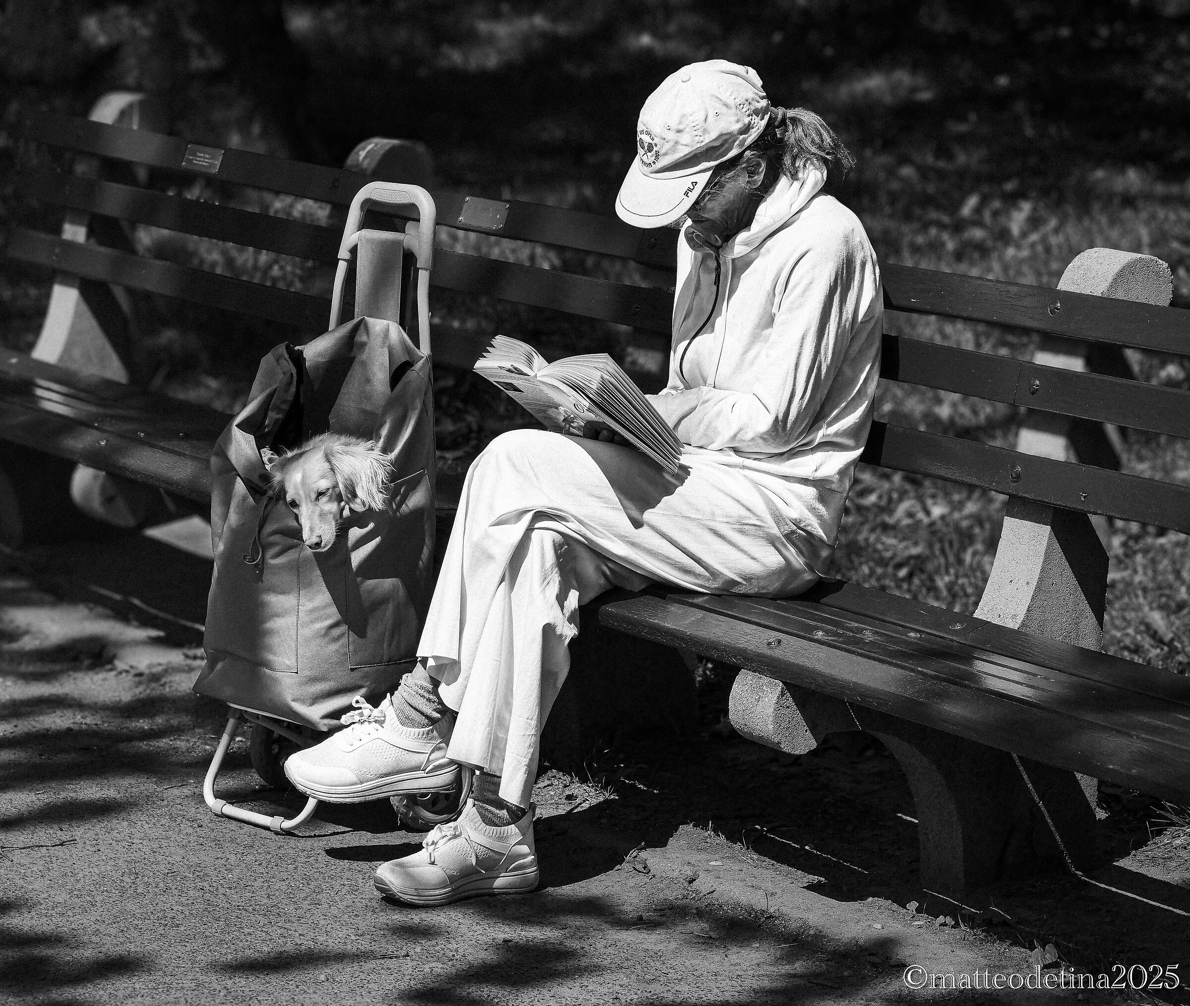 Central Park Relaxation