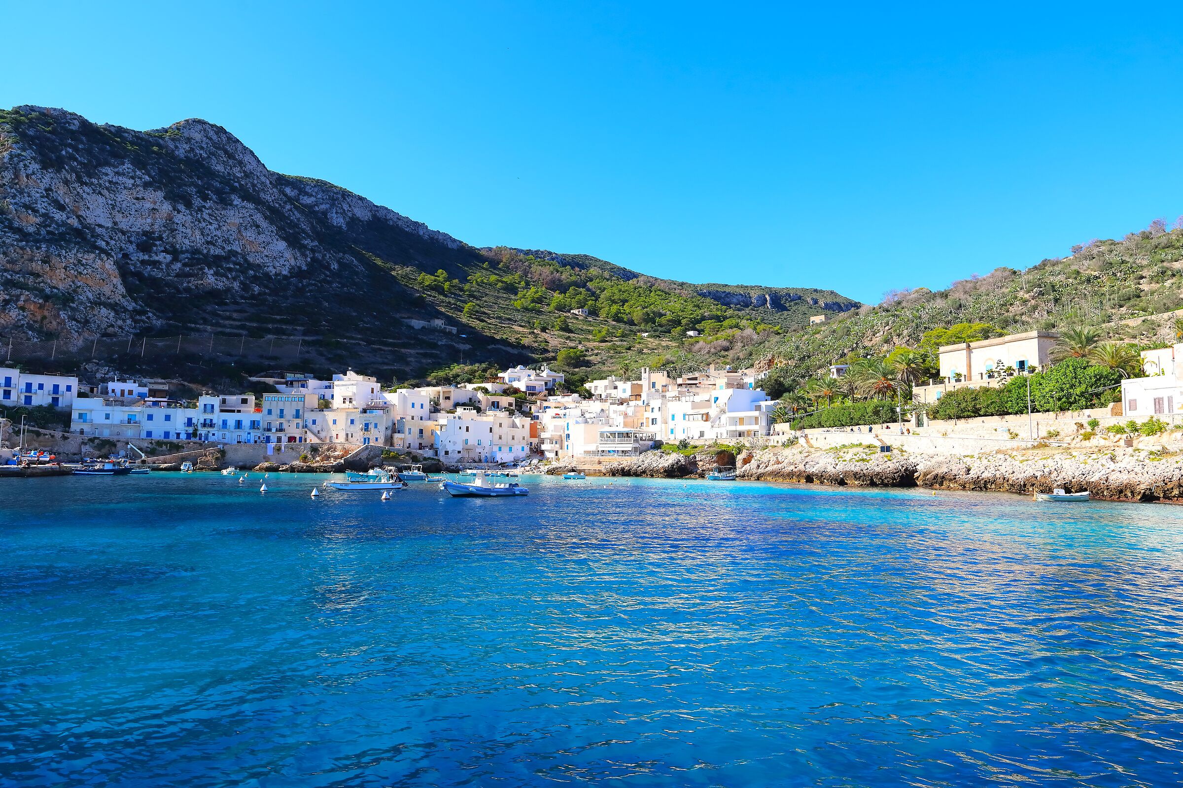 Veduta 05 ottobre 2025 - 0561