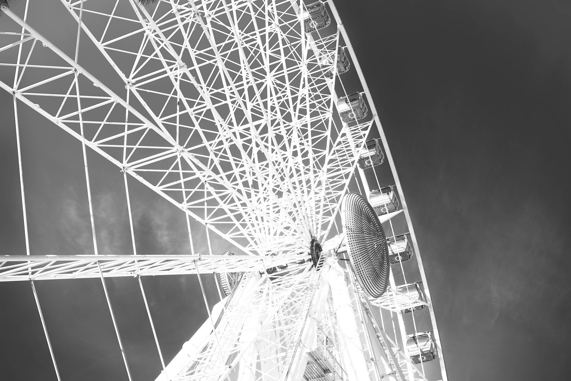 White Wheel...