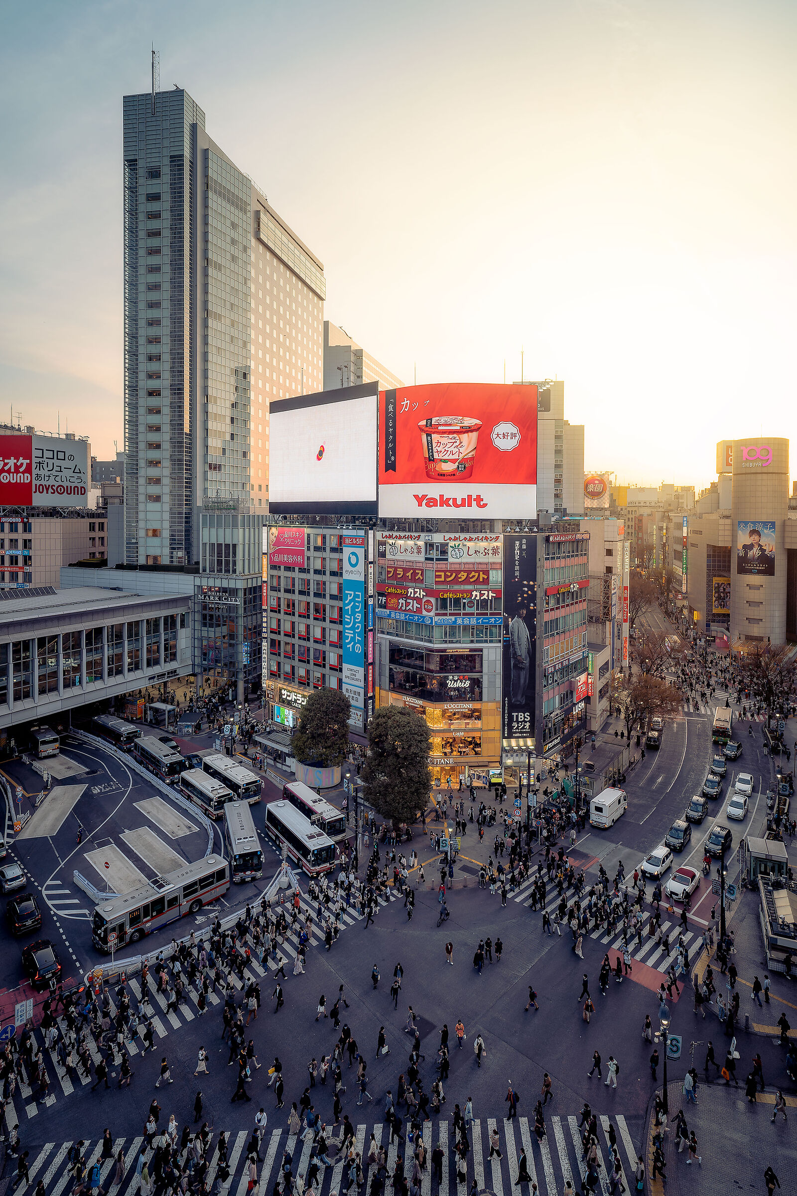 Shibuya Crossing