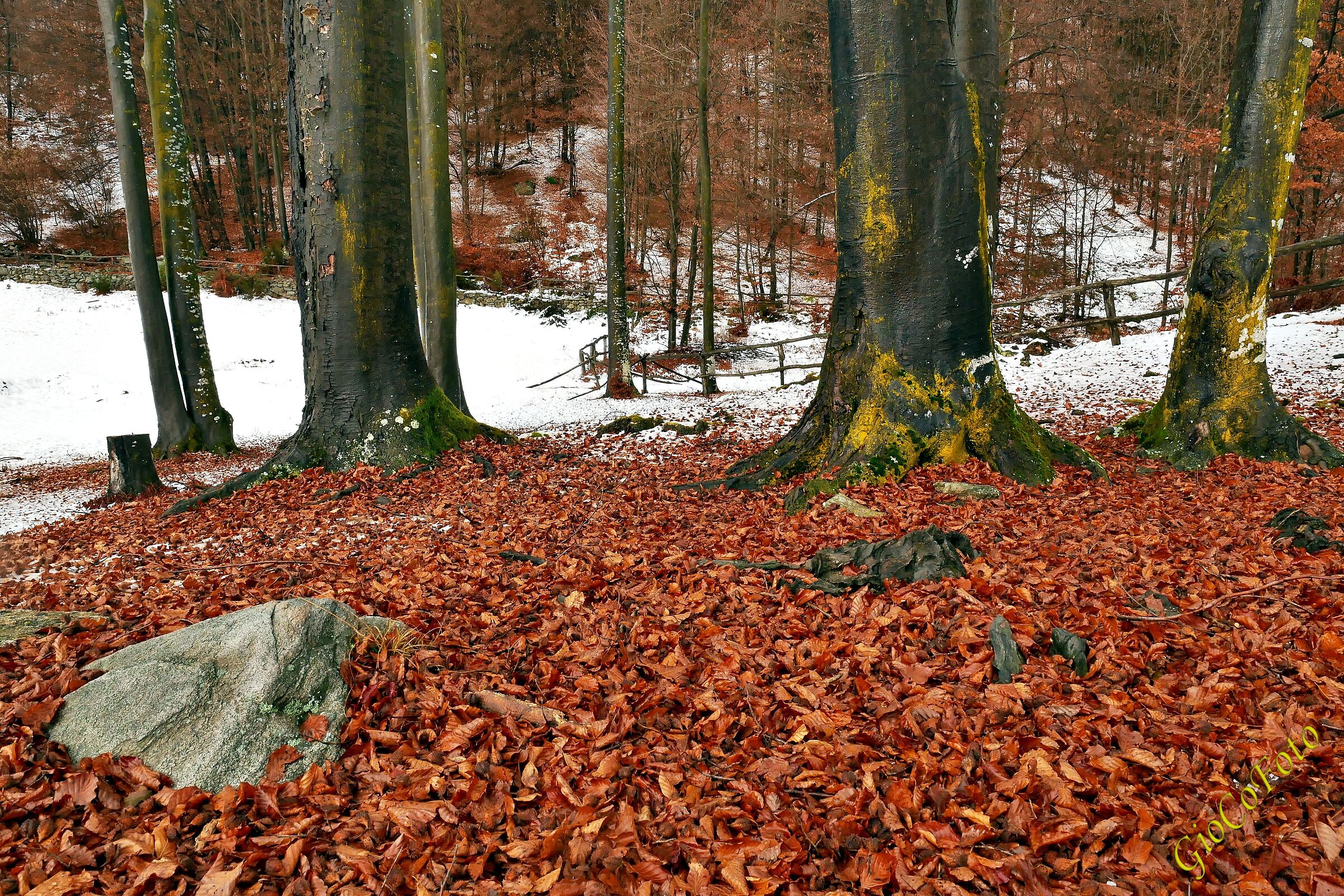 Contrasti di stagione