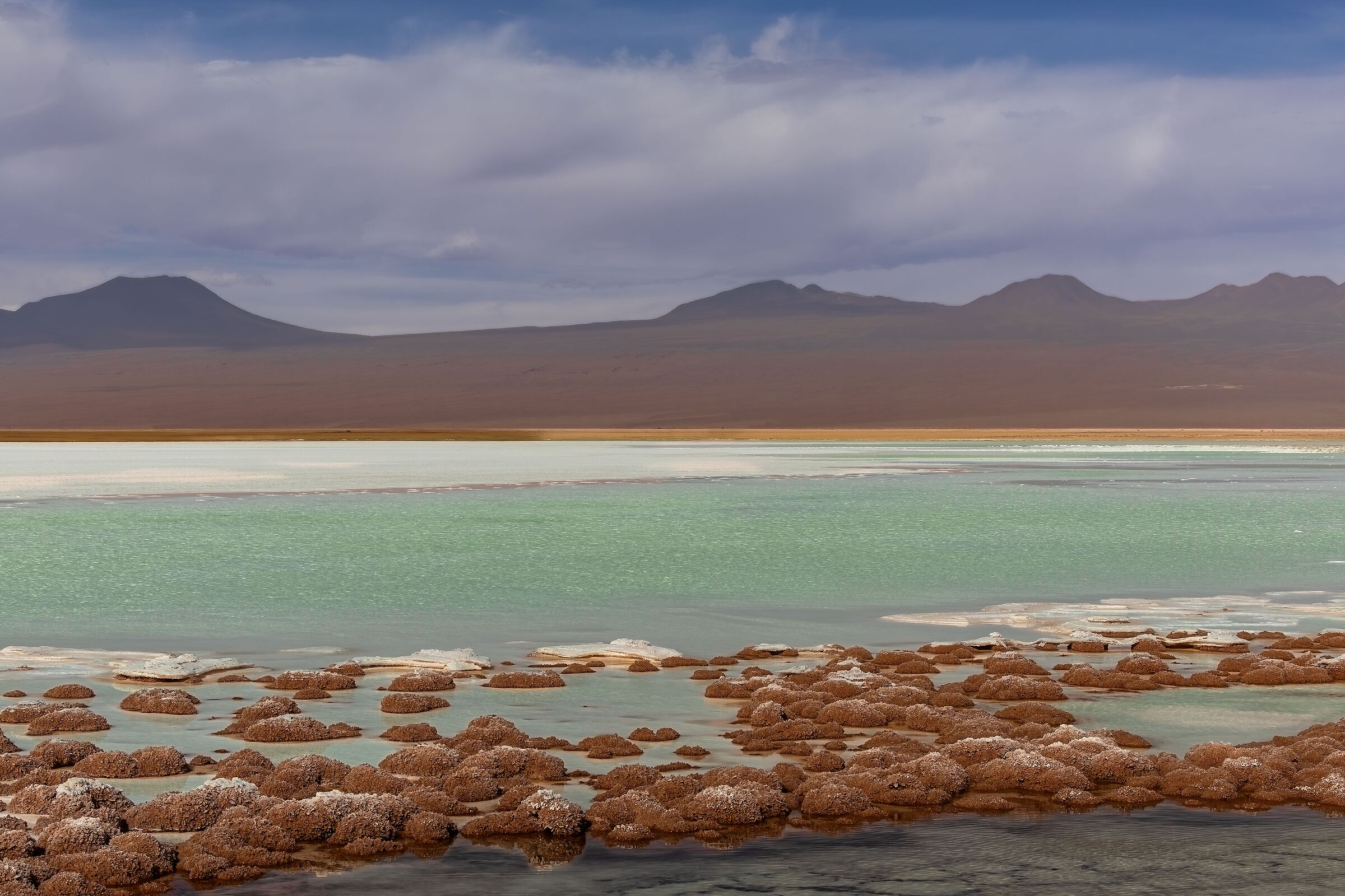 Laguna Cejar