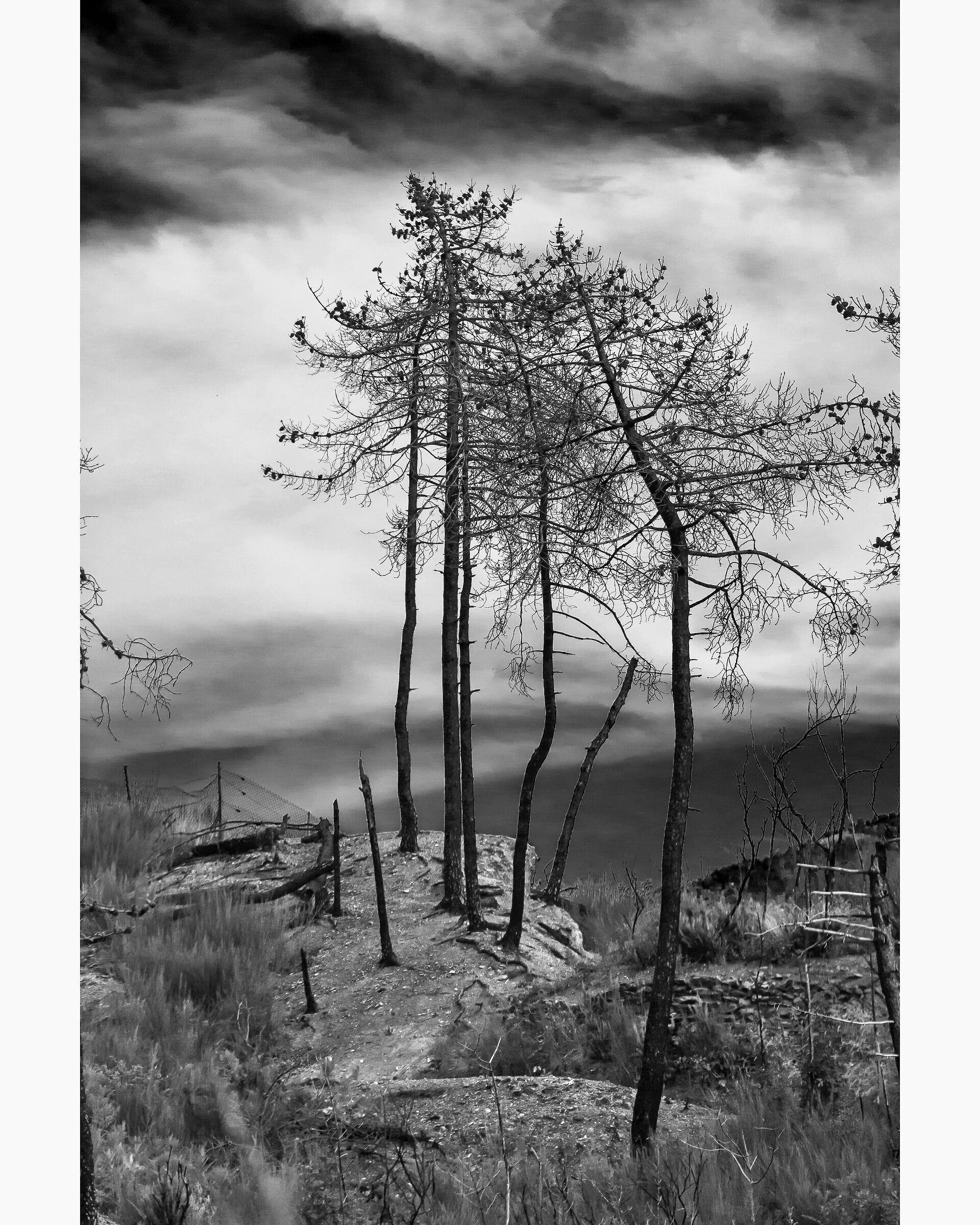 l'ostile desolazione "attraverso l'obiettivo&qu...