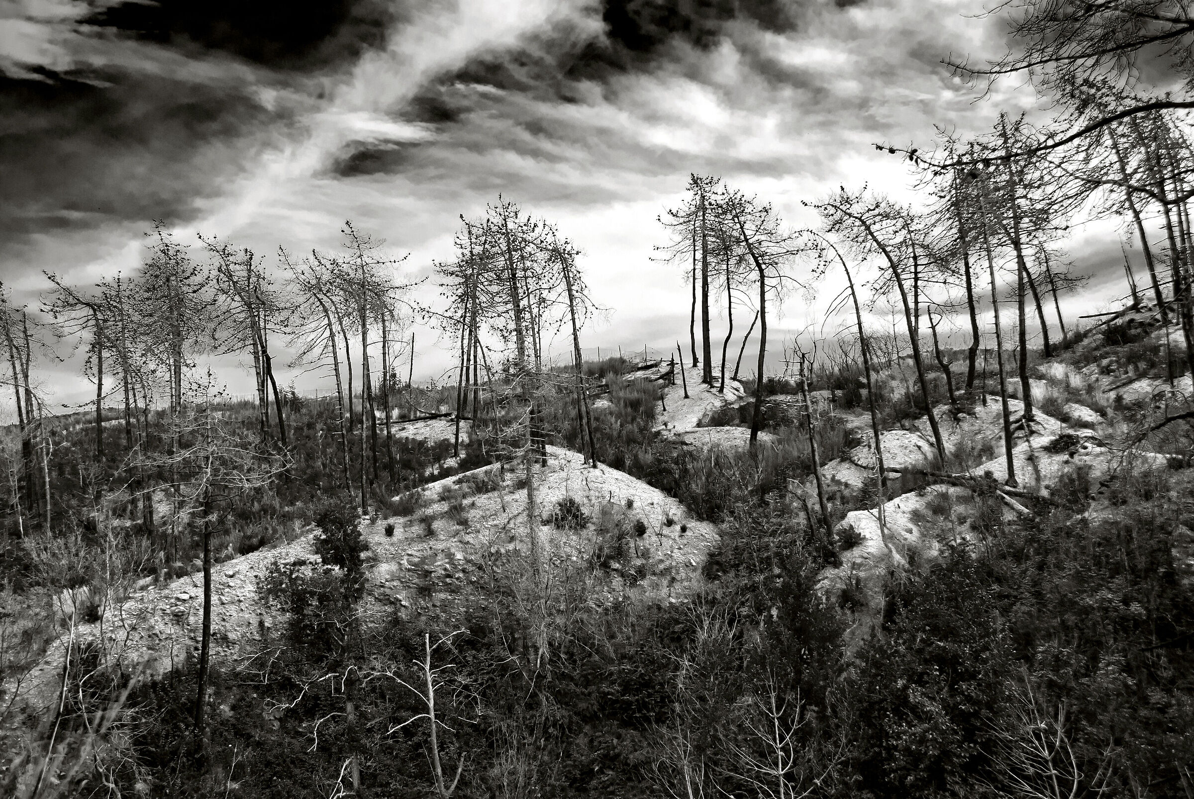l'ostile desolazione "attraverso l'obiettivo&qu...