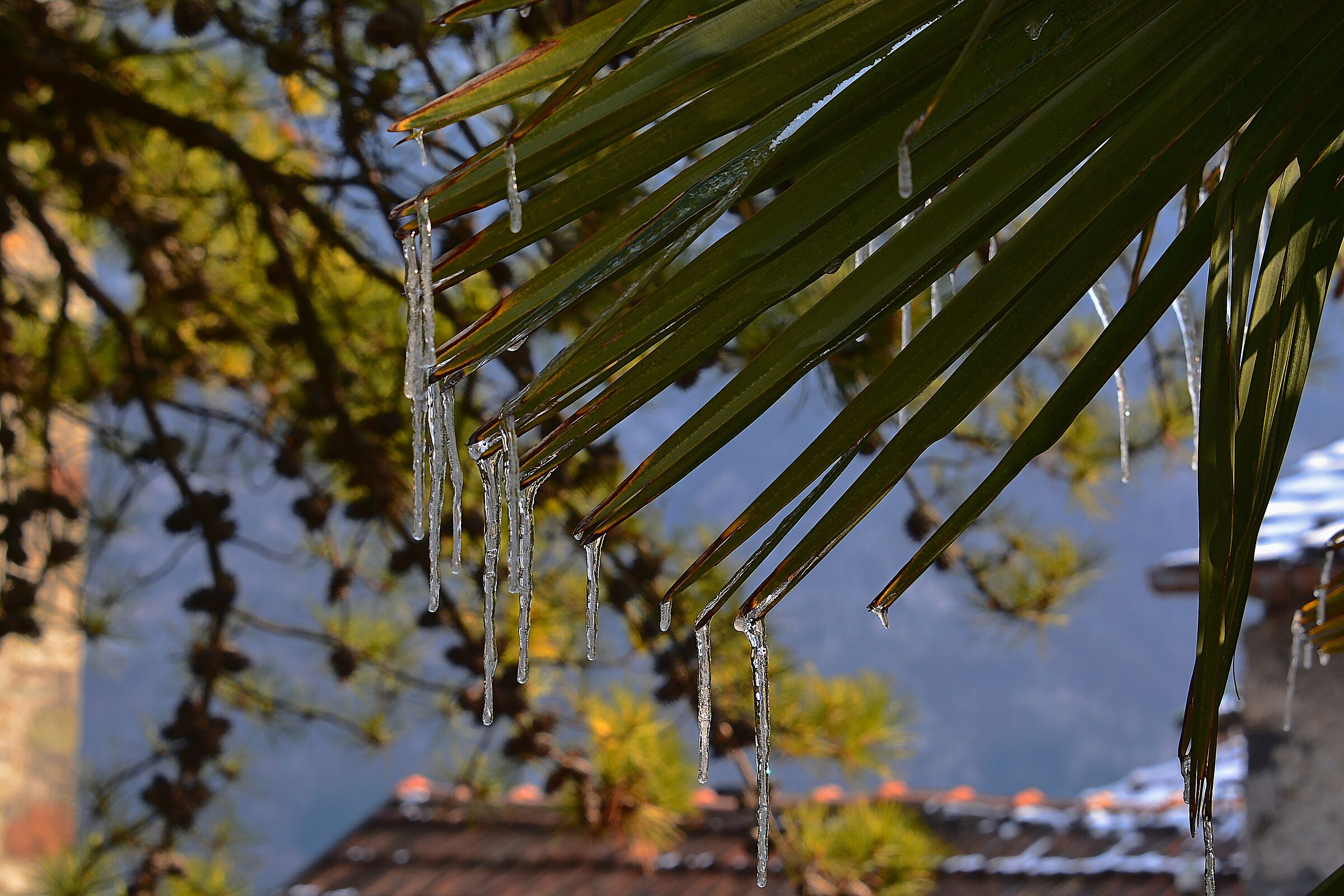 winter.