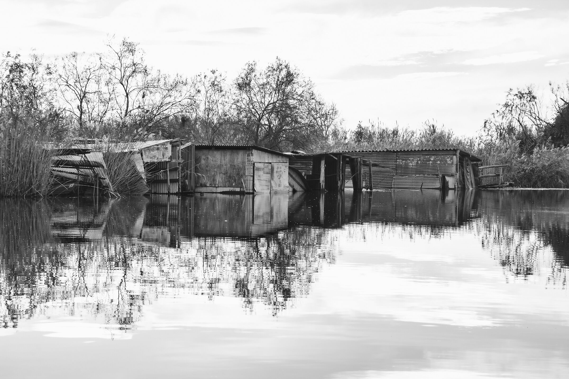 Reflexes of abandonment