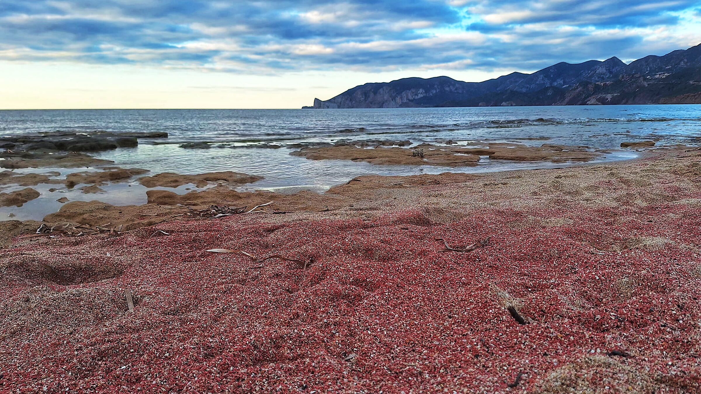 The pink beach