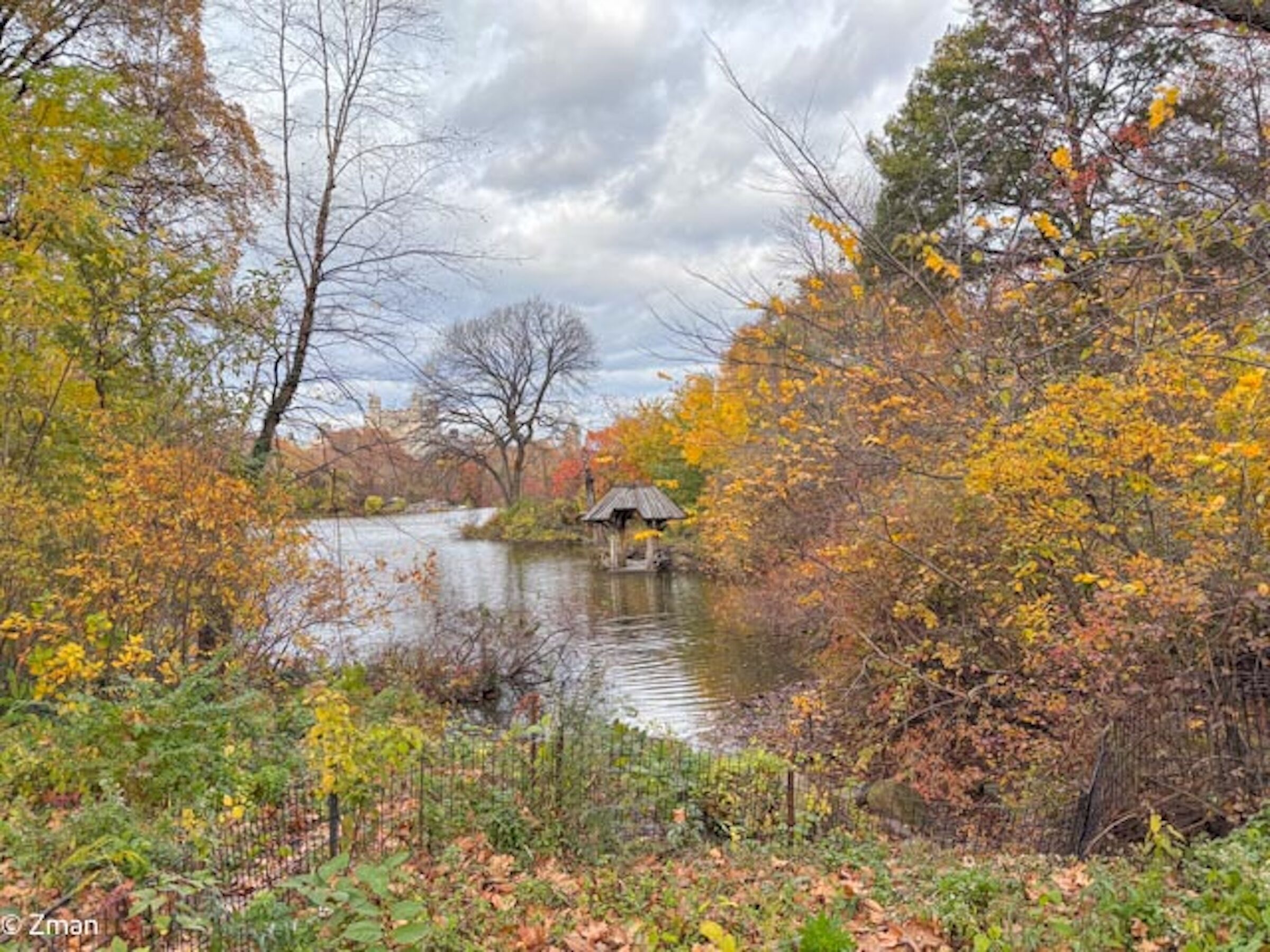 Colori di Central Park