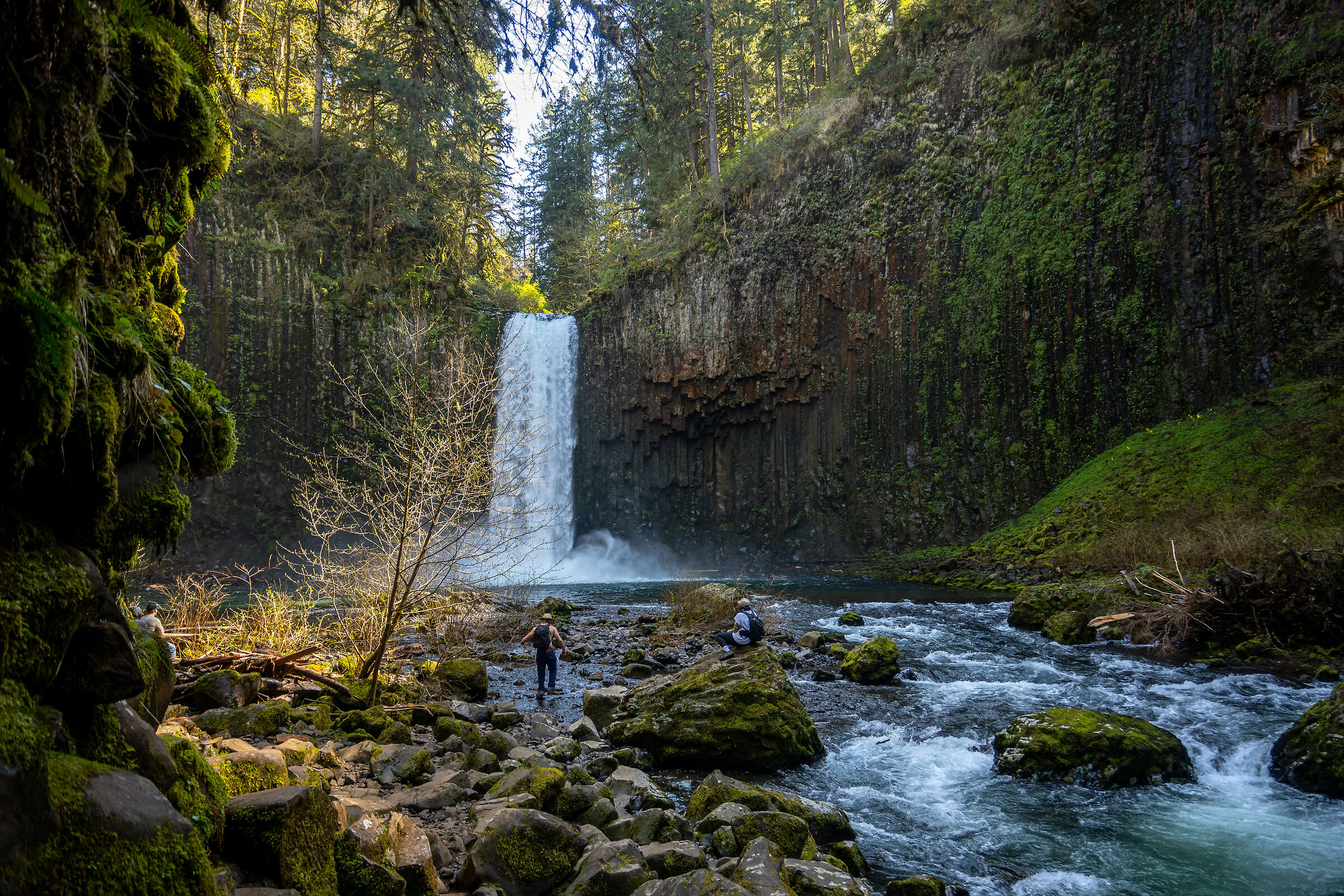 Abiqua Falls(OR)