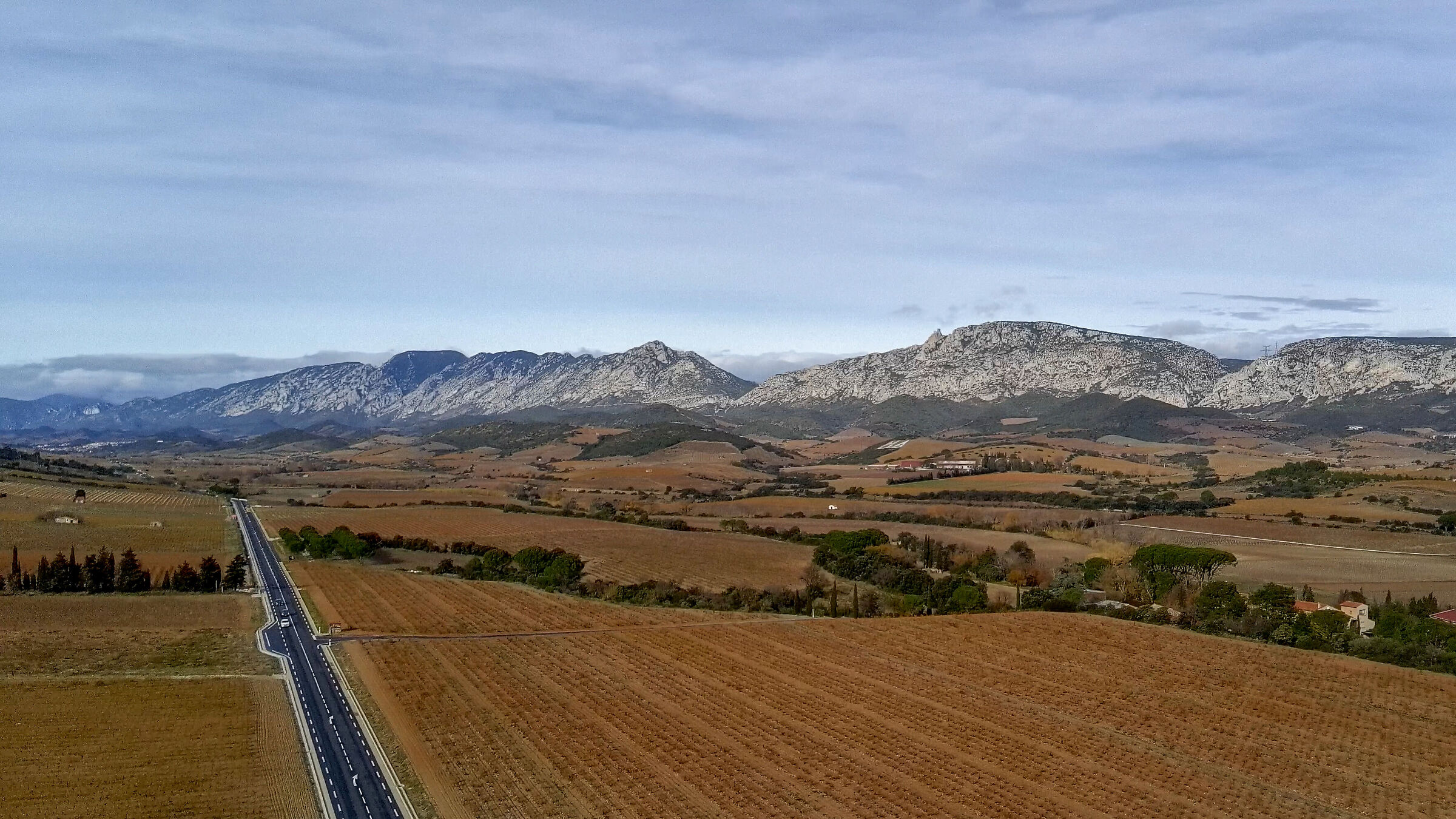 The vineyards of Rossignol