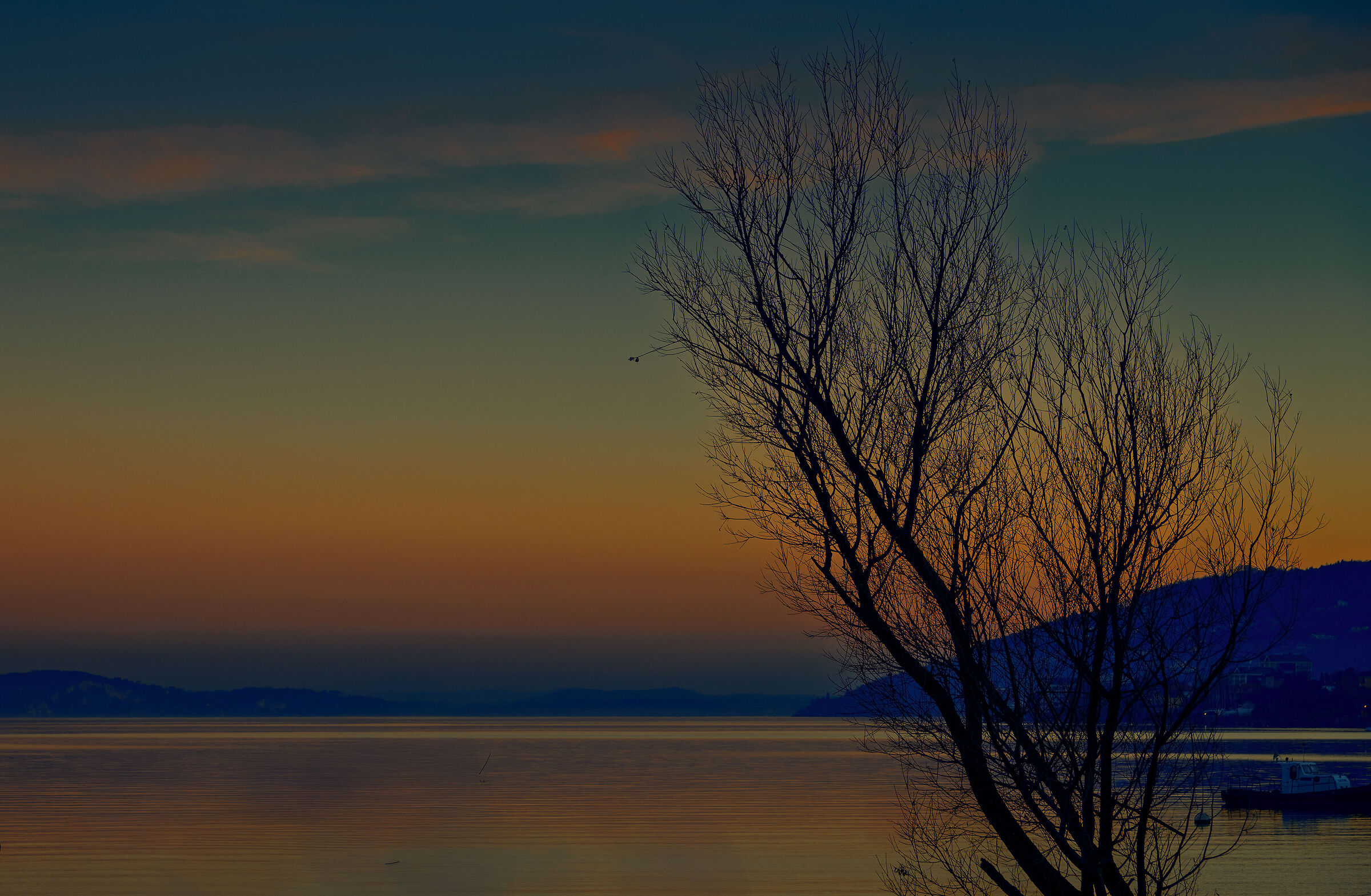 verso sera