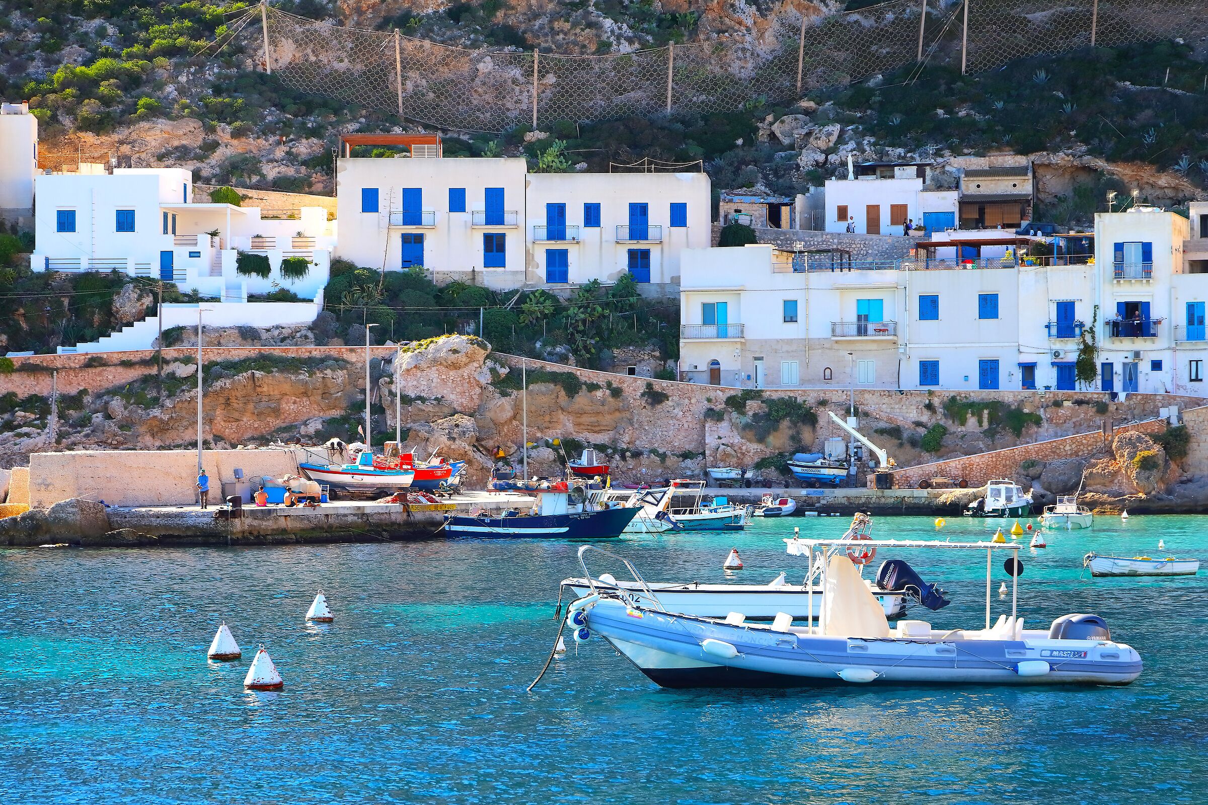 Barche 08 ottobre 2025 - 0562