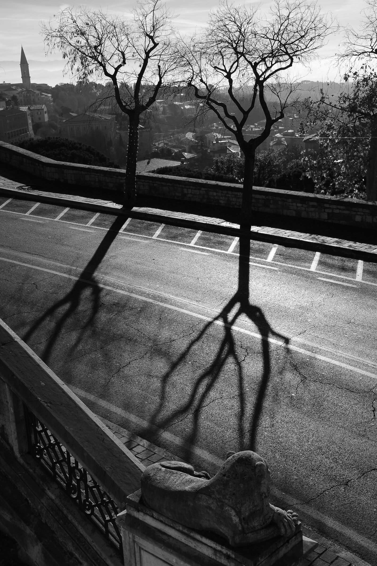 Roots