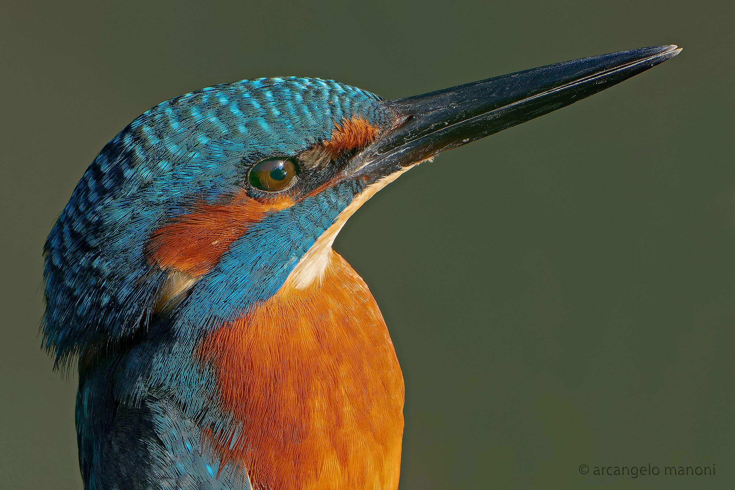 Ritratto al maschietto