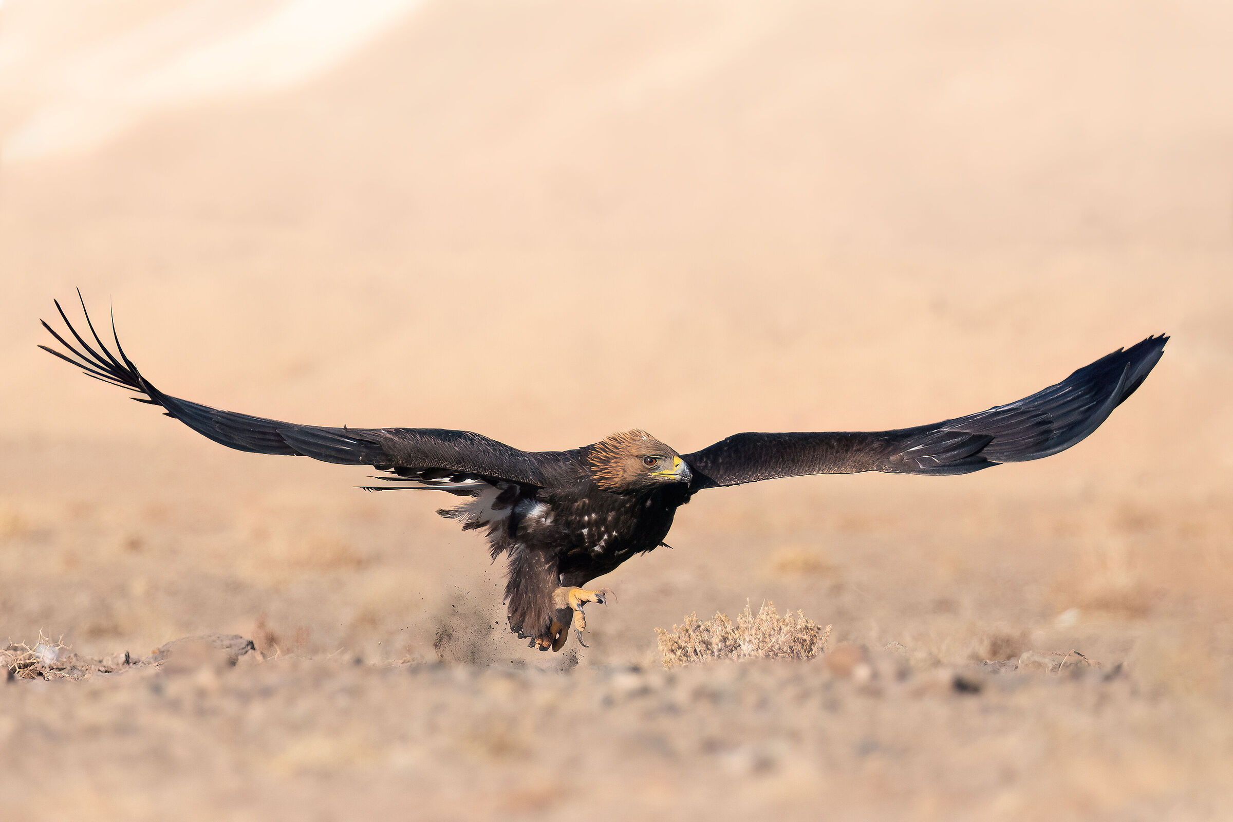 ???????? ????? ??? ???? ???? ?????