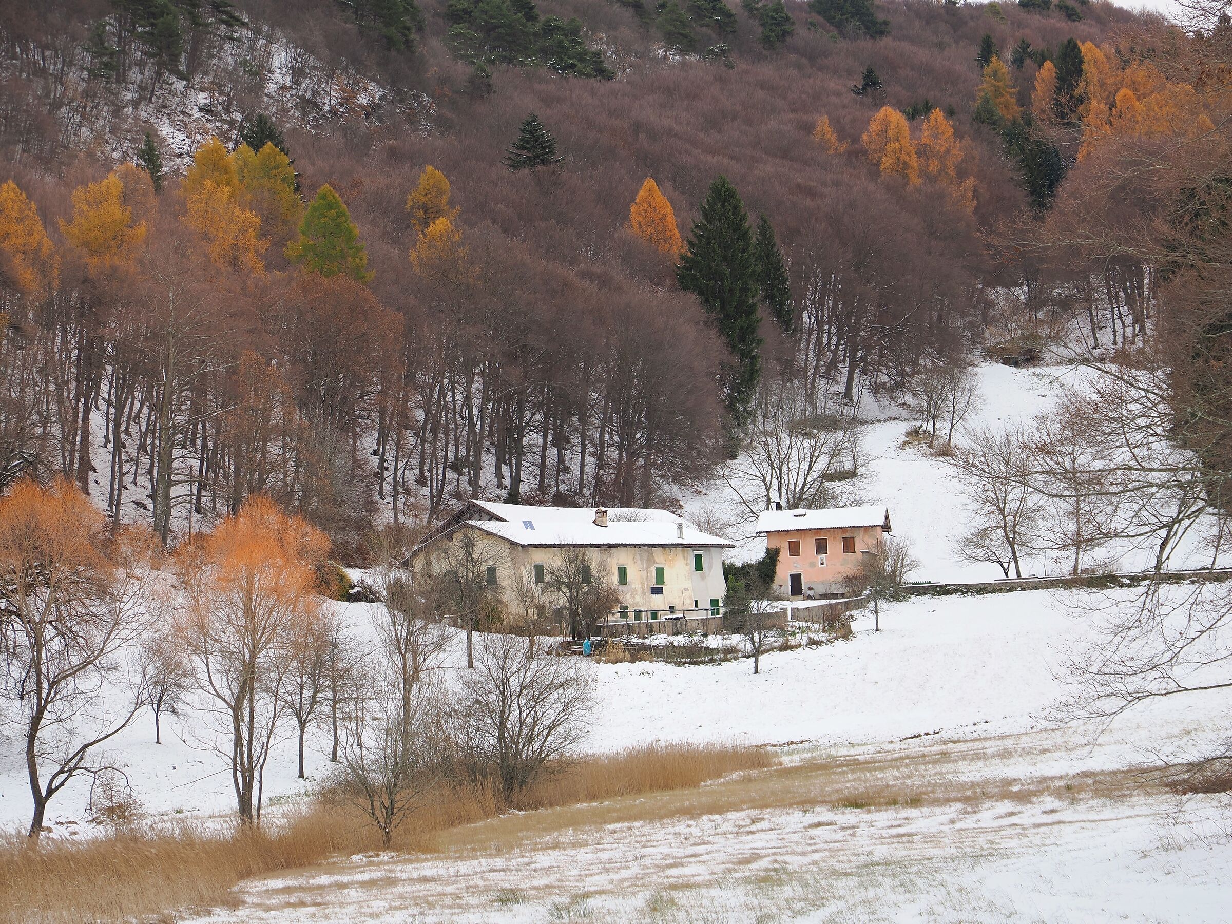 Ultima d'autunno