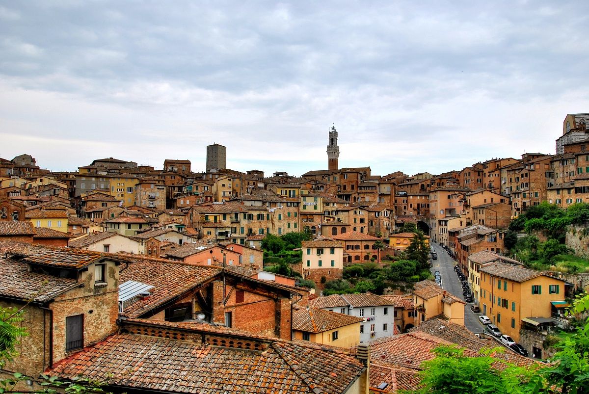 siena