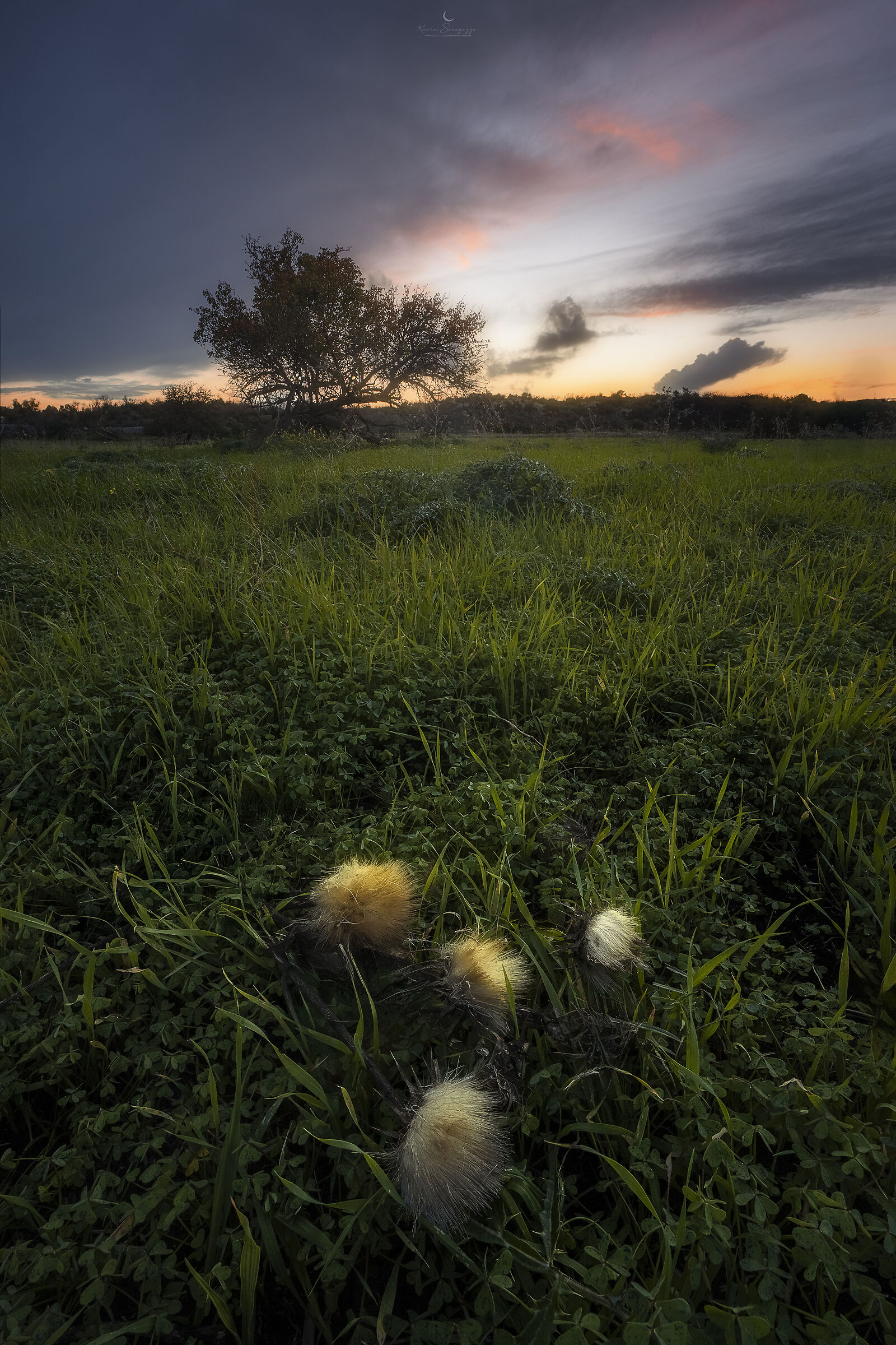 Nature is strong, but its beauty lives on in its