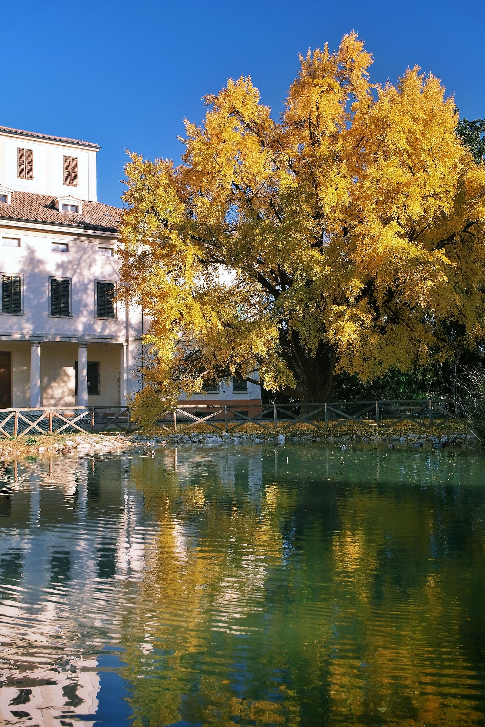 Villa Gandini