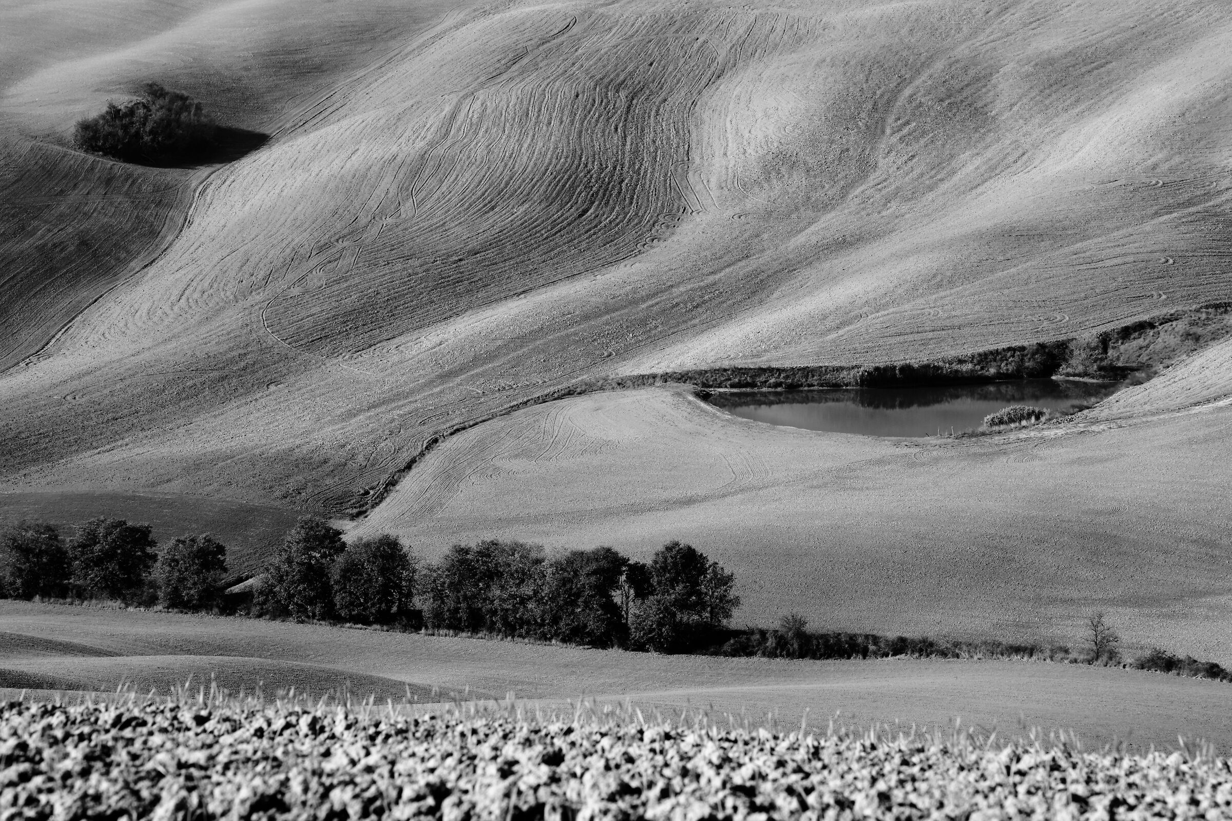 Crete Senesi in monochrome